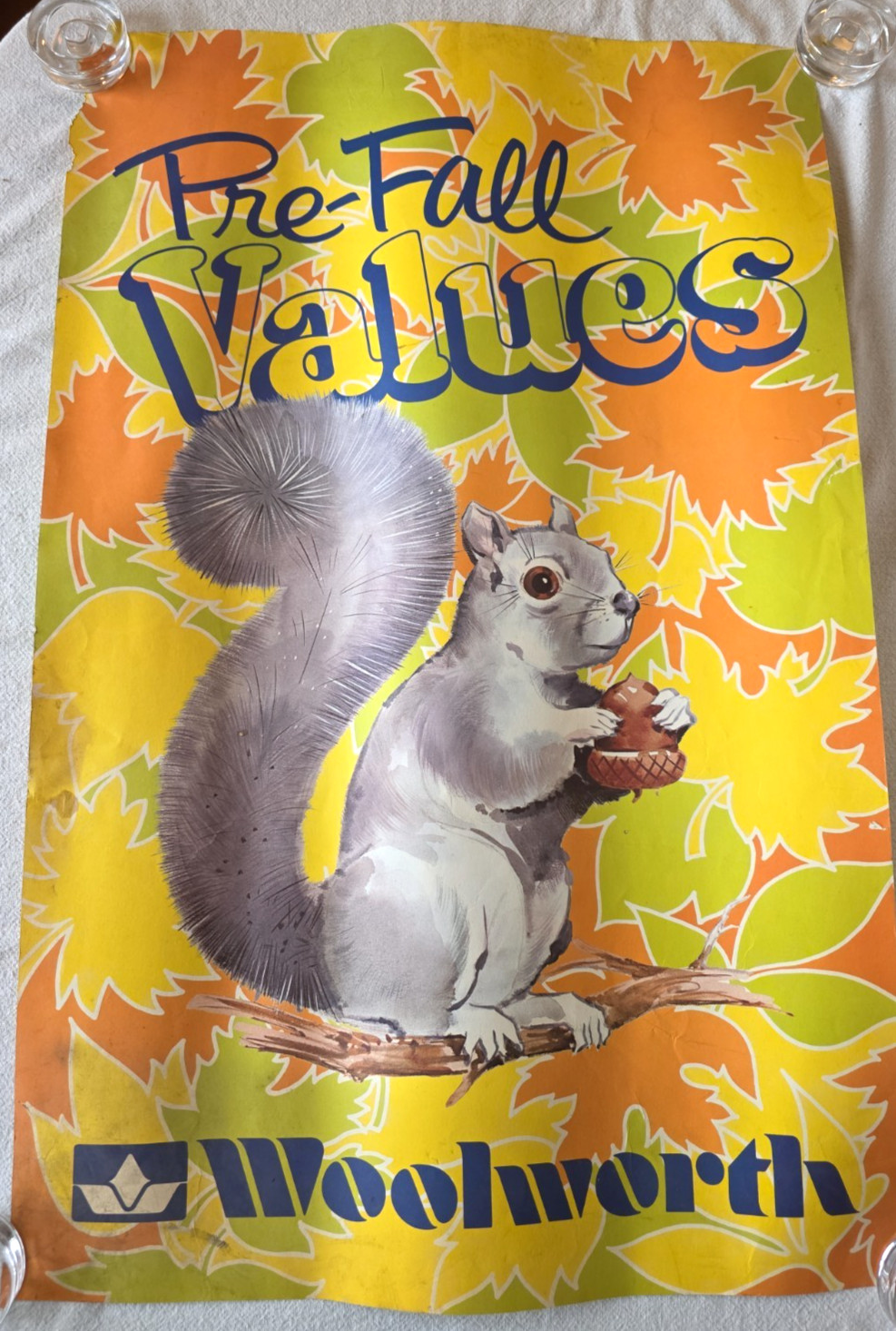 C.1970 Woolworth Pre-Fall Values Squirrel Vintage Store Advertising Poster