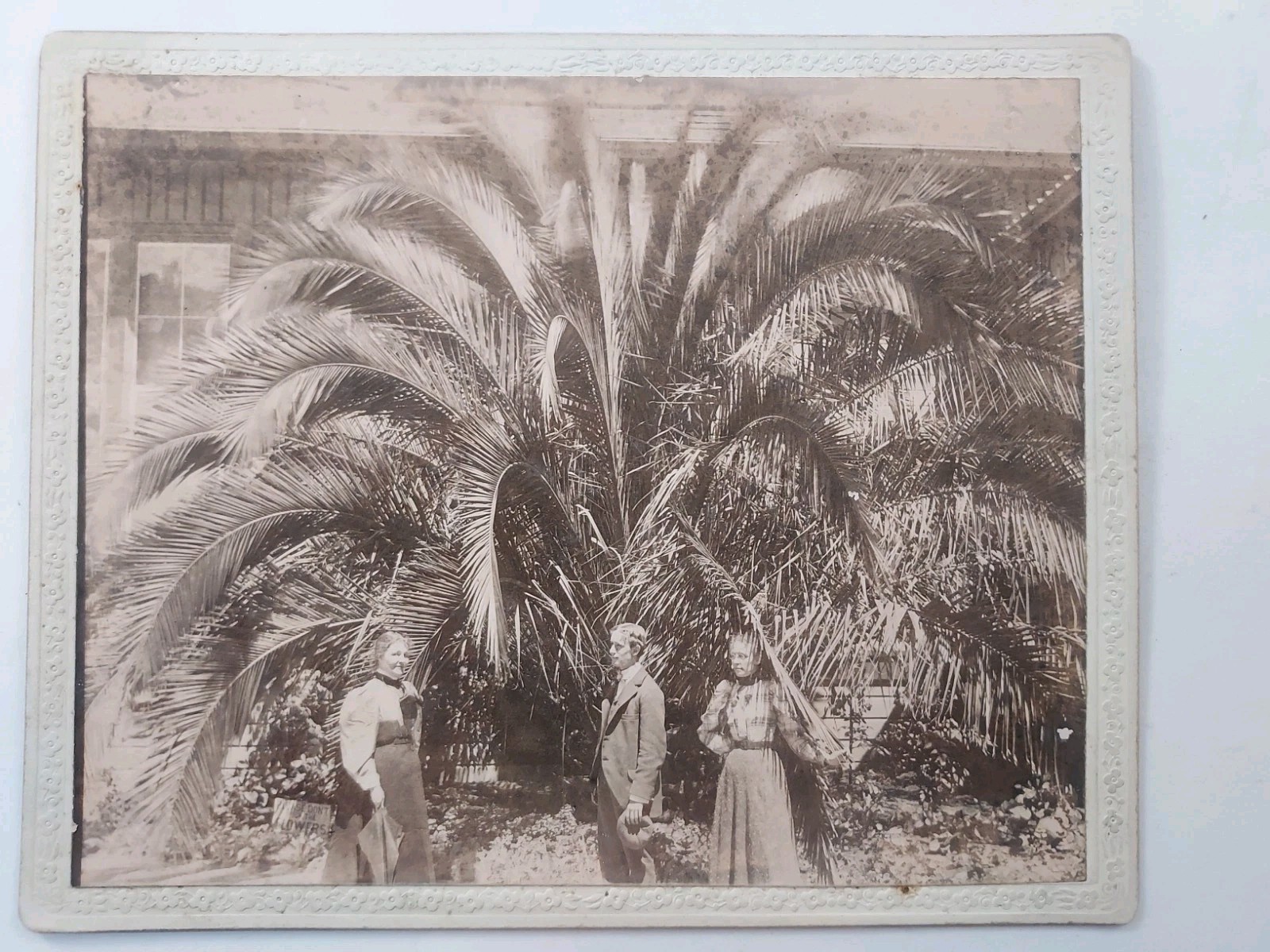 1897 Antique Original Cabinet Card Photo Del Monte Hotel CA Palm Tree