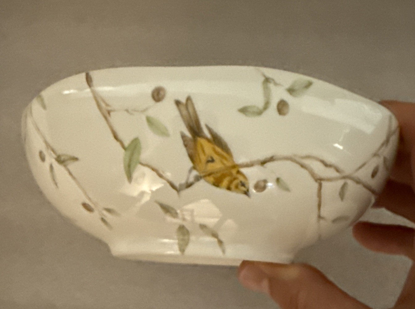 Two 222 Fifth Early Bird Scalloped Soup Cereal Bowls