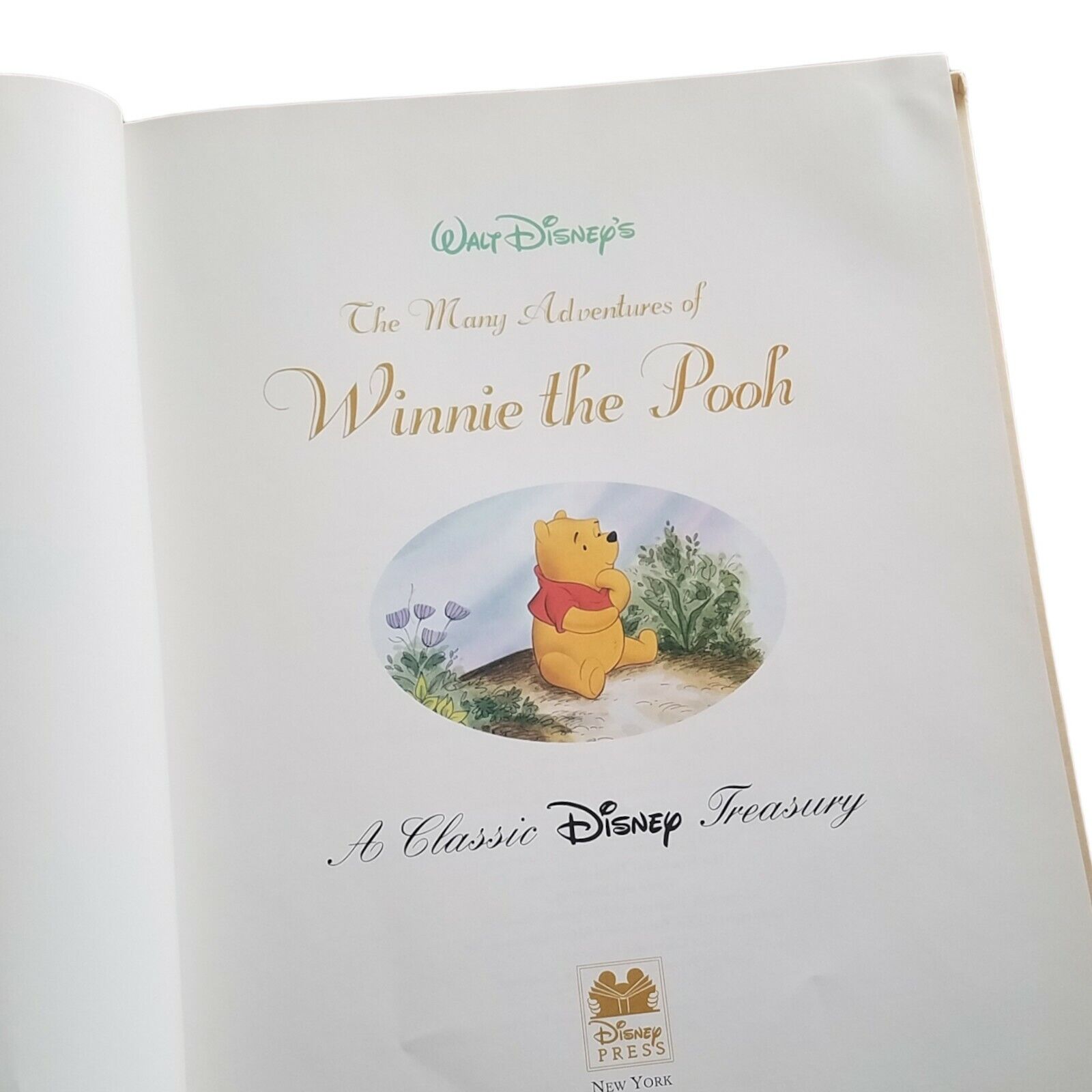 Classic Disney Treasury Book The Many Adventures of Winnie the Pooh Disney Press