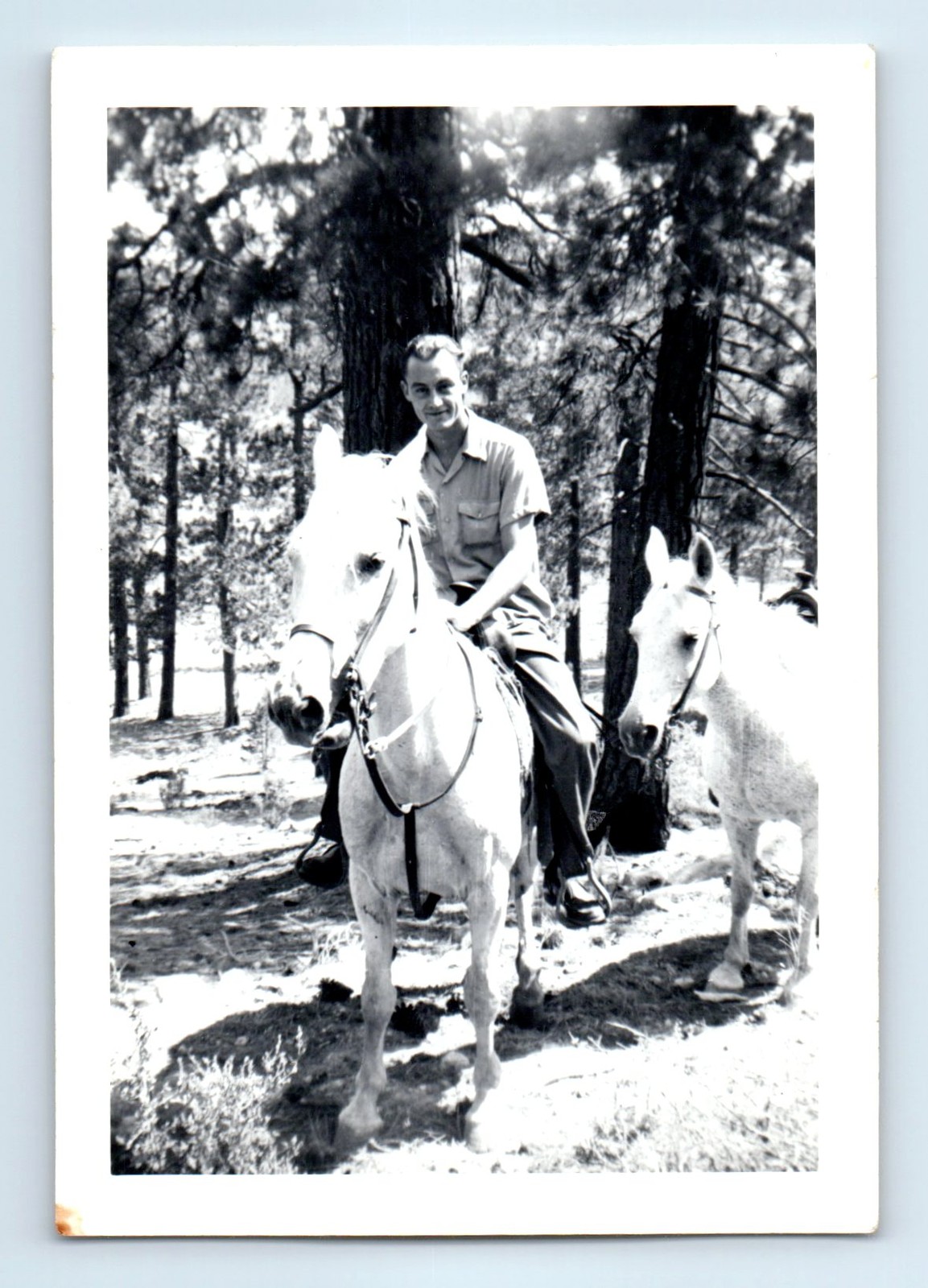 Old Vintage Photo MAN RIDING HORSE IN FOREST ANTIQUE HORSEBACK SNAPSHOT PICTURE