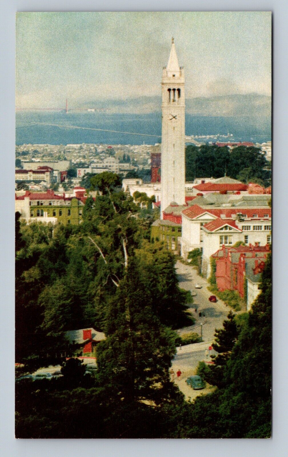 Postcard Campanile, University of California Campus USA