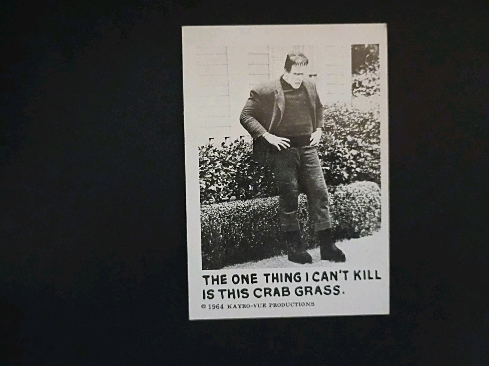 1964 Leaf Munsters #59 The one thing I can\'t kill...