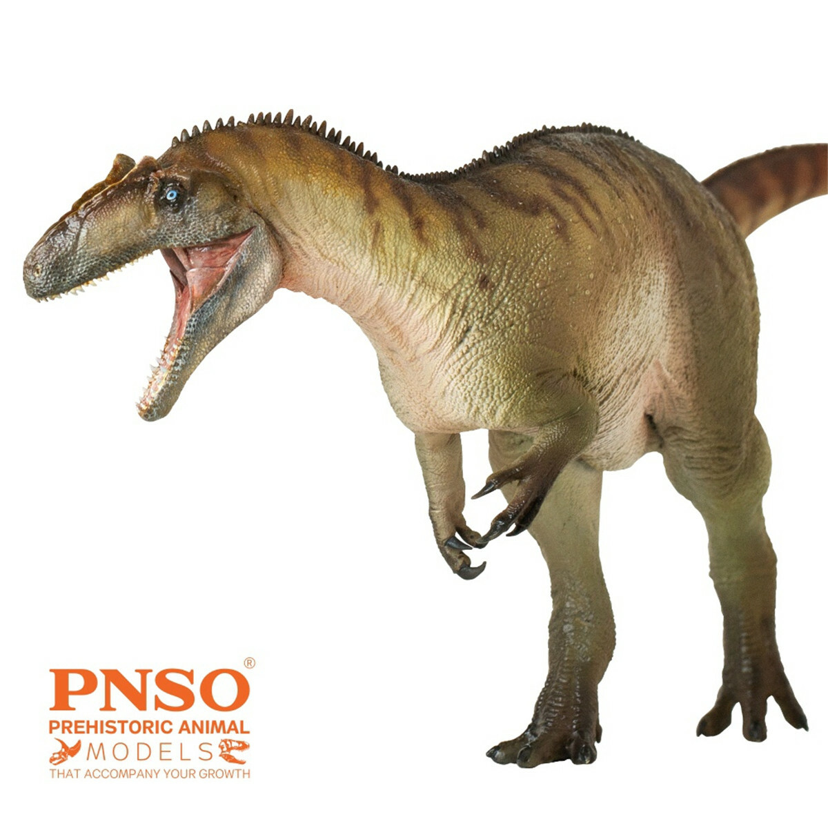 PNSO Allosauridae Dinosaur Allosaurus Paul Model Figure Animal Collector Decor