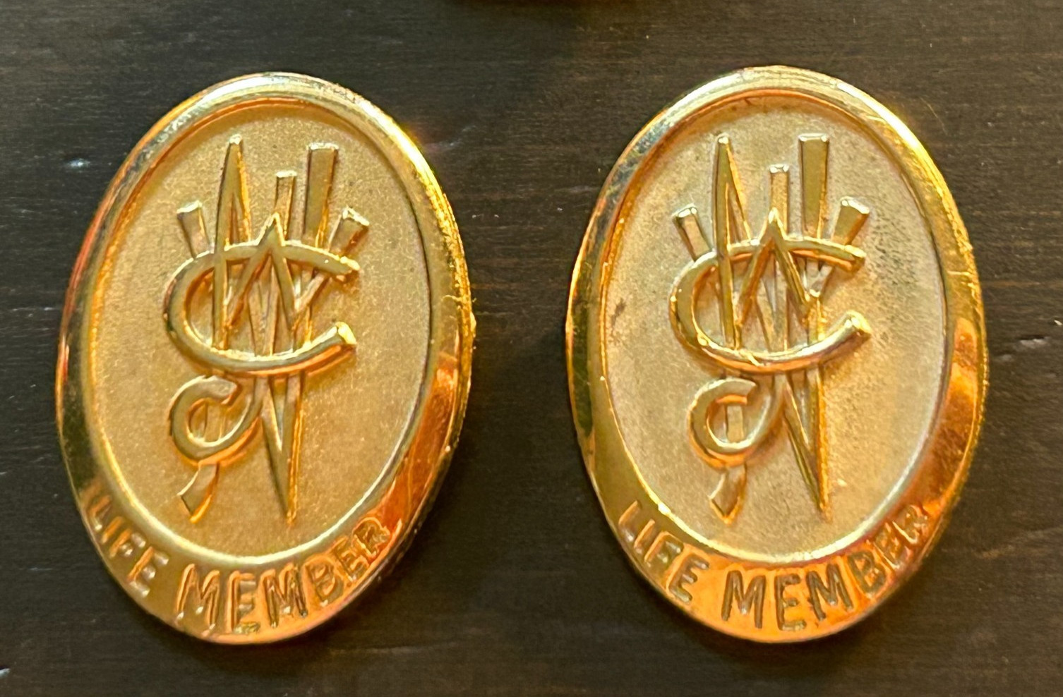 2 NCJW National Council Of Jewish Women Life Member Lapel Pins 2 NCJW National Council Of Jewish Women Life Member Lapel Pins