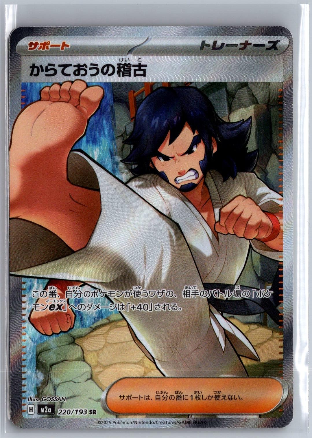 Black Belt\'s Training 220/193 Holo NM Japanese