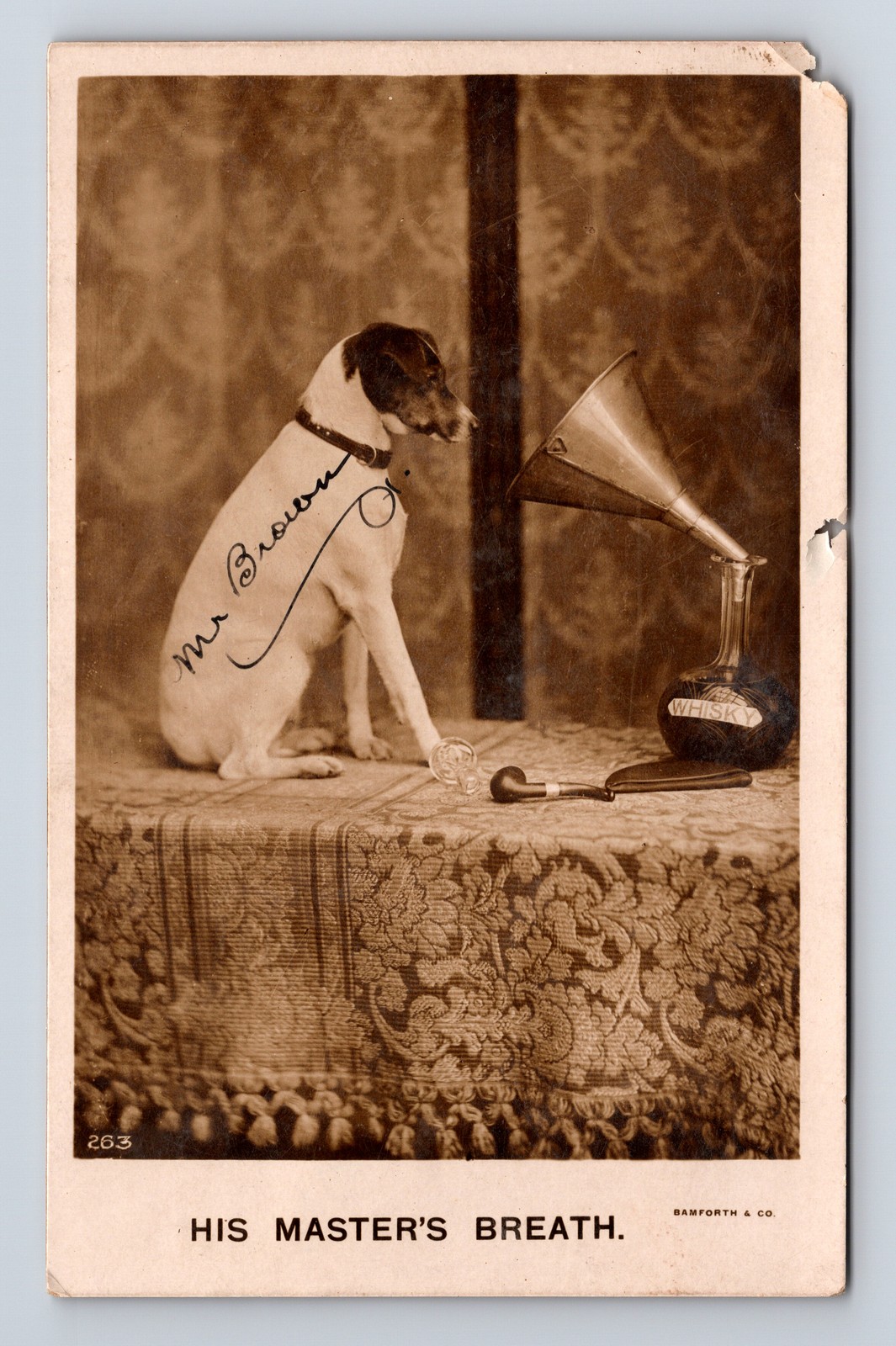 c1910 RPPC His Master\'s Breath Spoof on RCA Dog Mr Brown Postcard c1910 RPPC His Master\'s Breath Spoof on RCA Dog Mr Brown Postcard