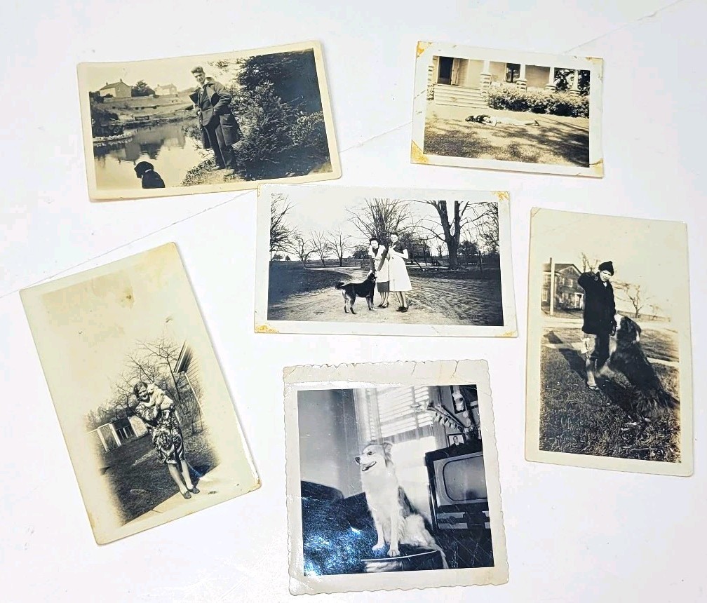 6 Vintage 1940s 1950s B&W Snapshot Photos Women Dogs Family Life Vernacular