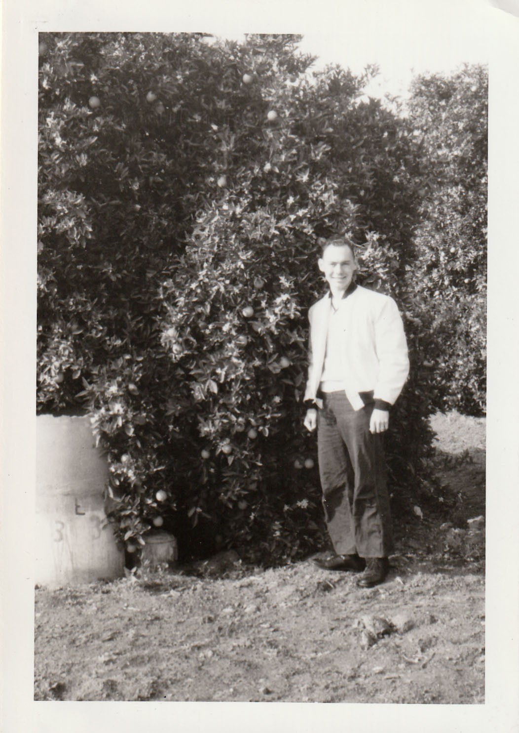 Vintage Photo 1950s Teen Boy Next to Fruit Tree Bush Orchard Farmland USA