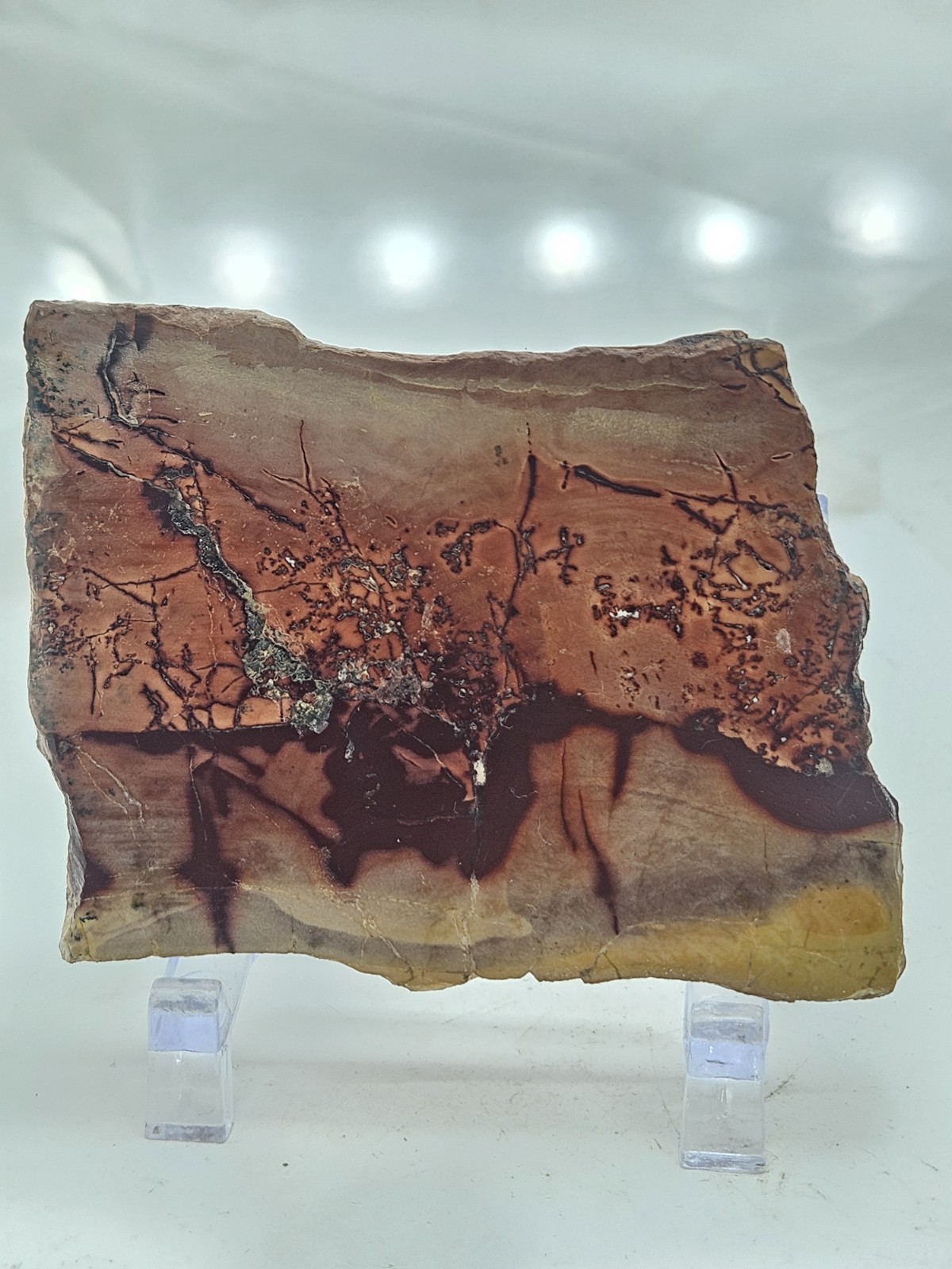Genuine Australian Mookaite Polished Slice - Earthy Abstract Pattern Stone