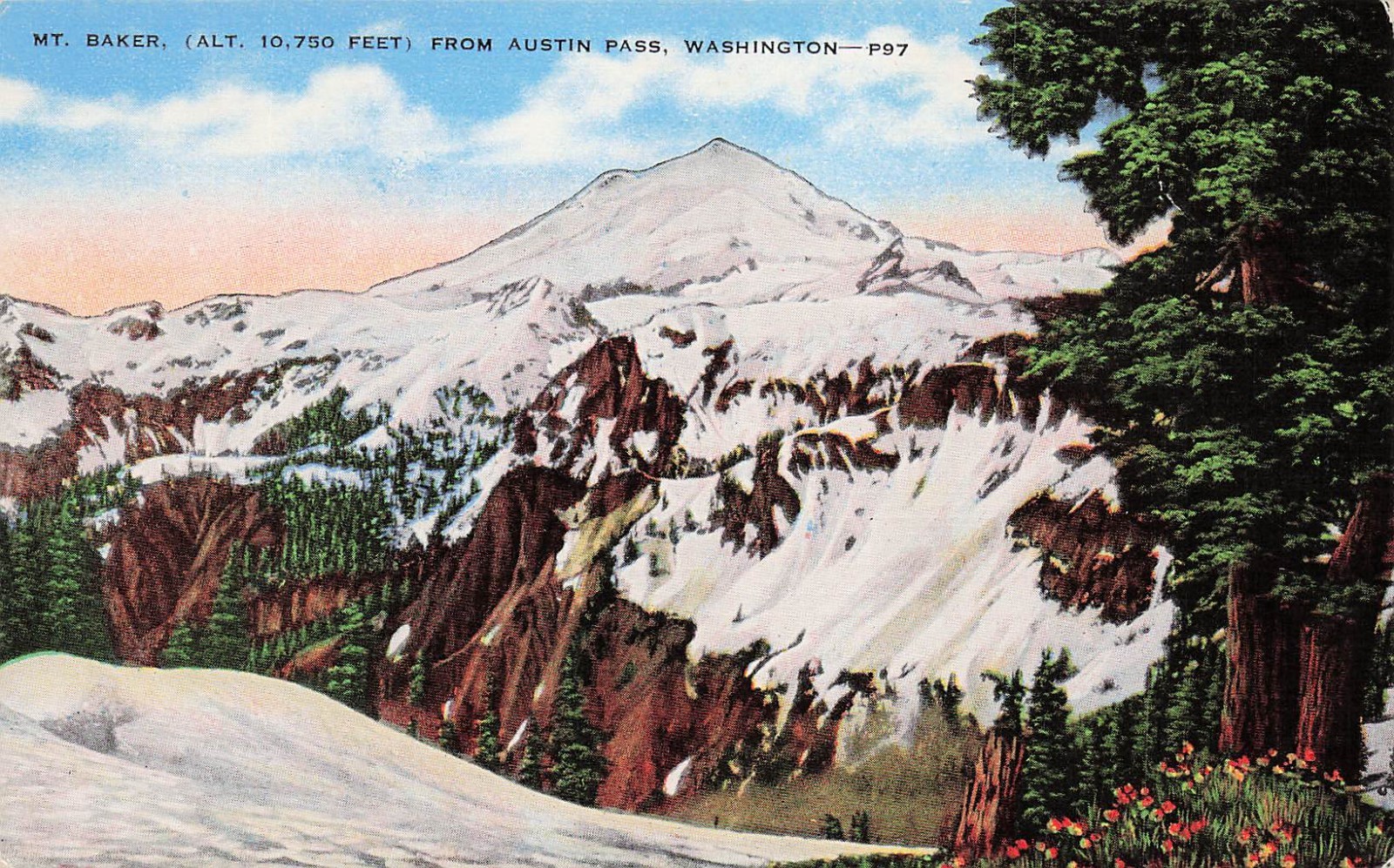 Mount Baker From Austin Pass Washington National Forest Vtg Postcard J33