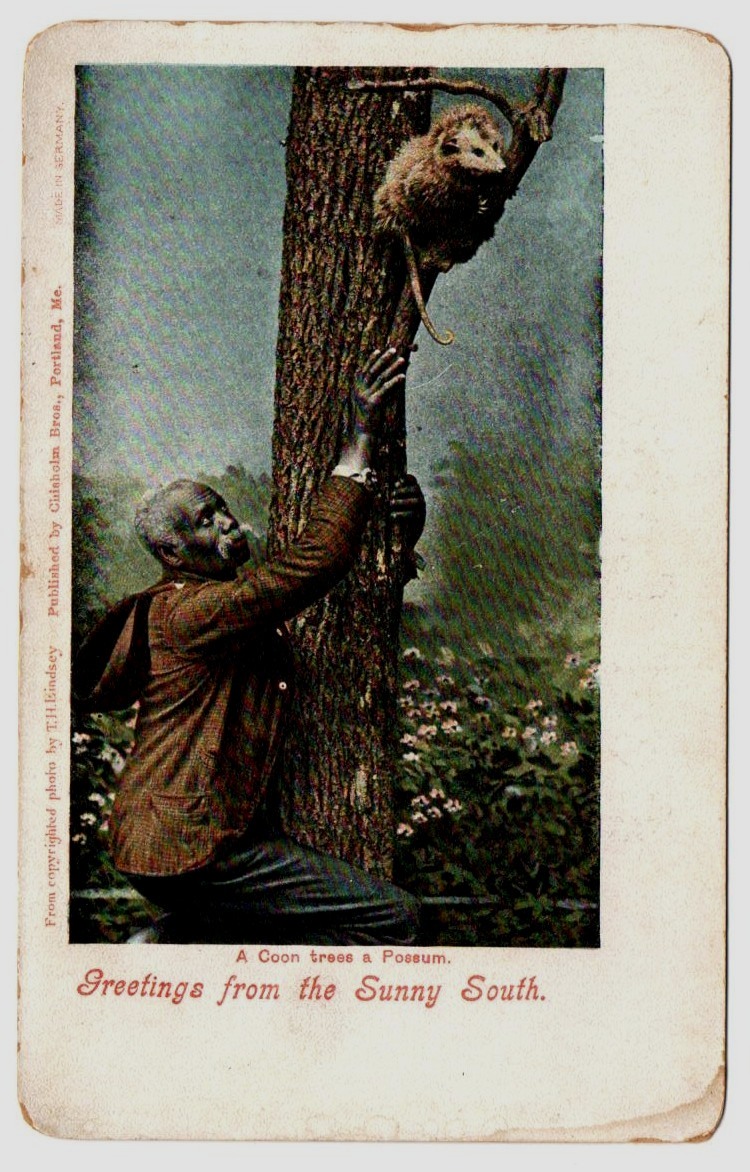 Antique Postcard Possum Hunting Greetings from the Sunny South Chisholm Bros
