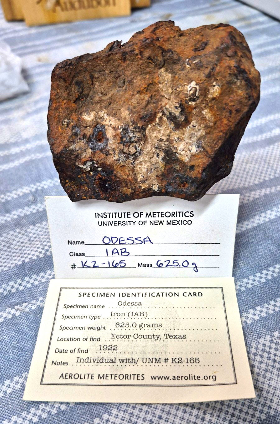 Odessa Iron Meteorite 625g Complete Individual – UNM #K2-165 Aerolite Provenance