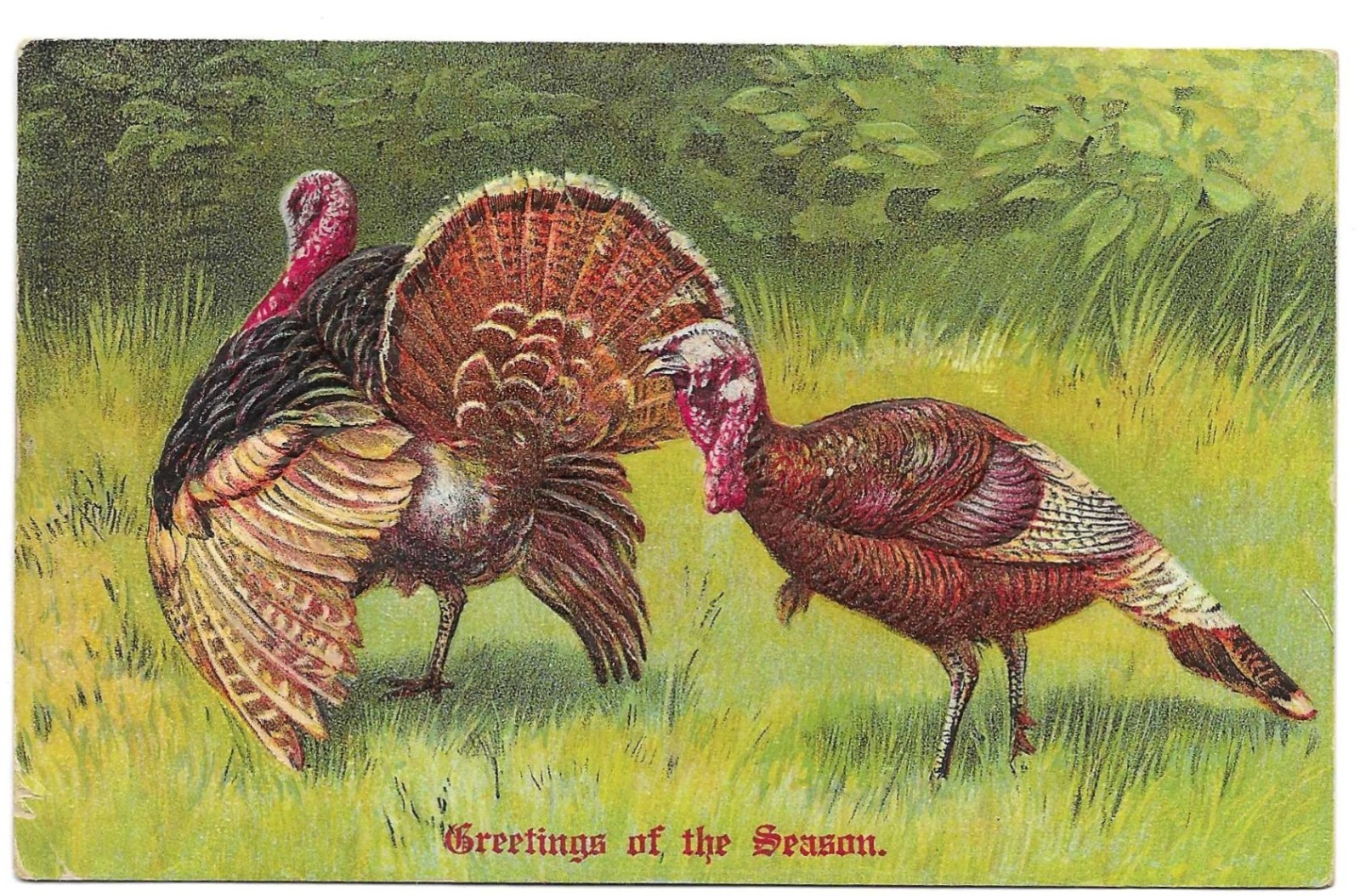 1907Greetings of the Season Thanksgiving embossed postcard-German wavy 1 cancel