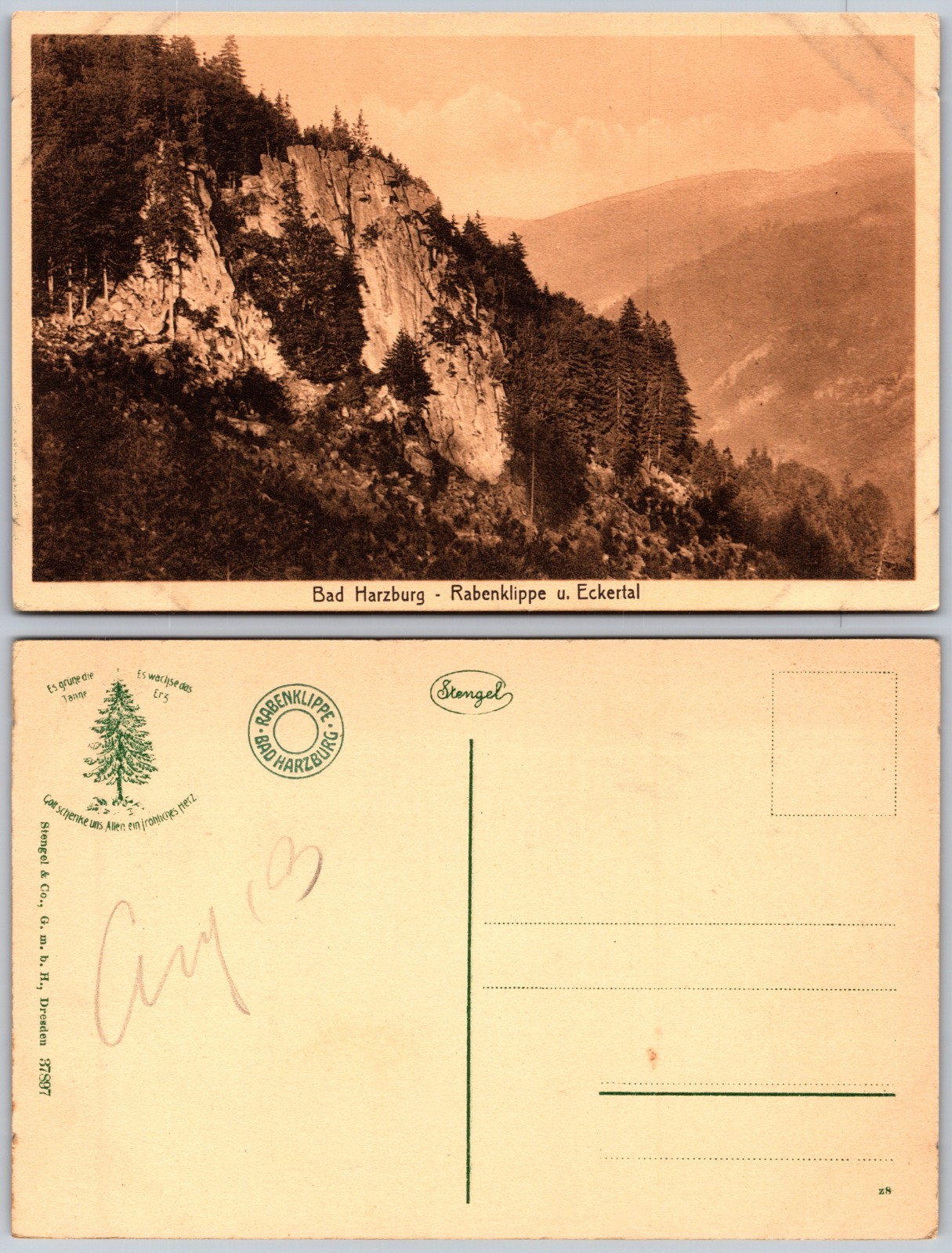 Bad Harzburg Rabenklippe Eckertal Mountain Postcard