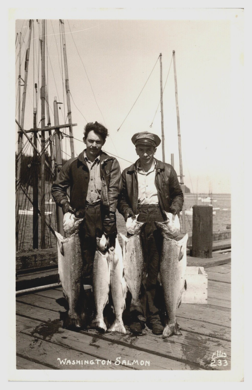 Washington Salmon Men Holding Large Fish Fishing RPPC Ellis  Postcard