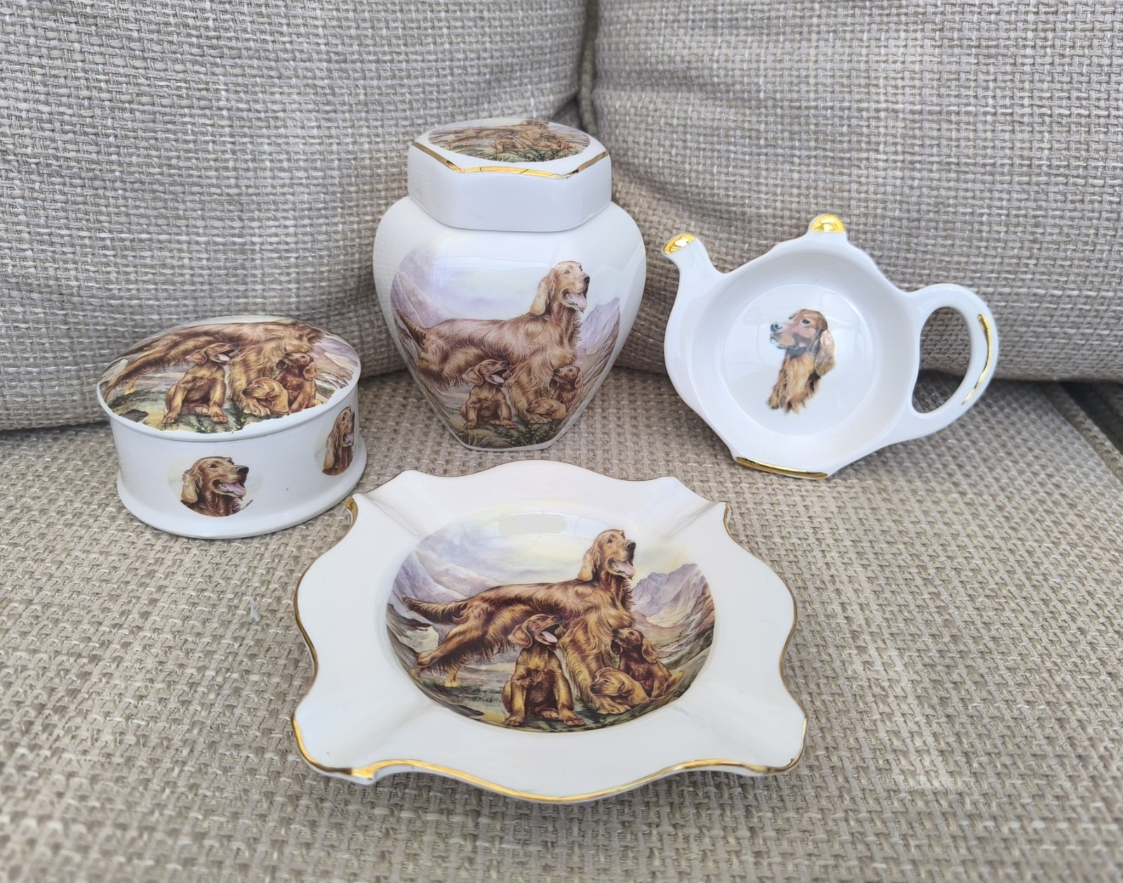Vintage Bone China Irish Setter Dog Set Sheltonian Staffordshire MacDonald 4pc