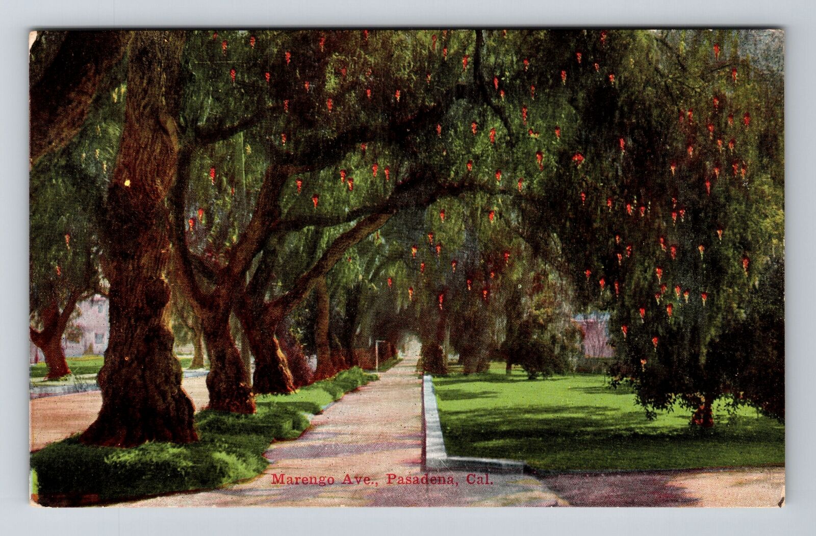 Pasadena CA-California, Marengo Avenue, Vintage Postcard
