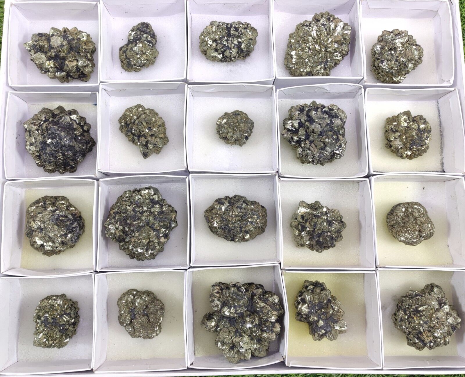 Natural Selectes 20 Pieces Golden Marcasite Crystals Flat box, 3Kg