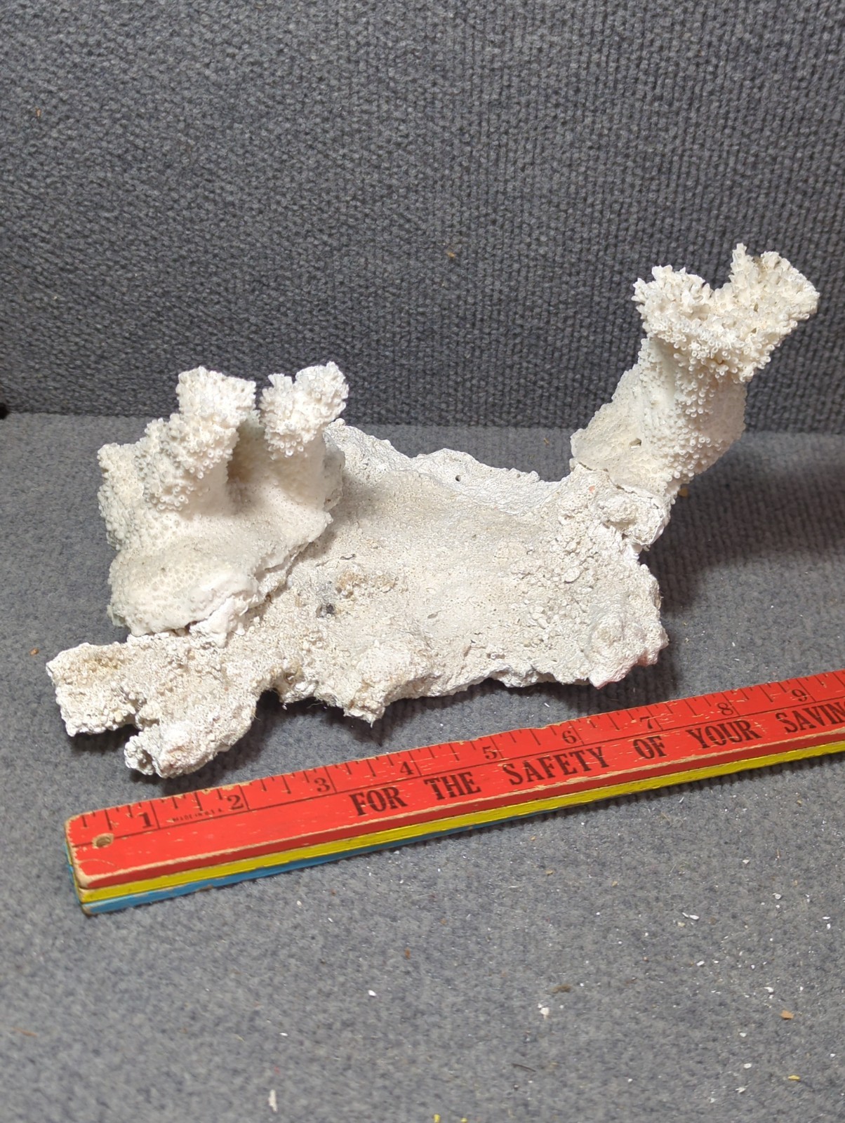 VTG Large Natural White Branching Coral Reef Decor Ocean Sea Aquarium 8x6x7