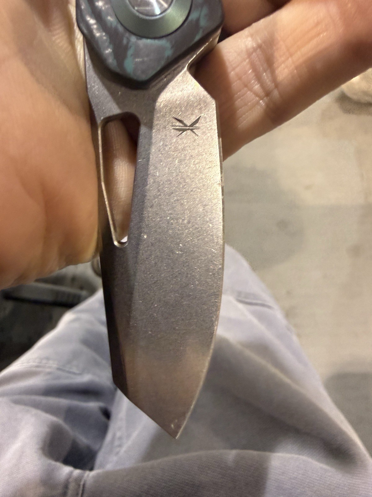 Keanison  Basset Hound Teal Titanium