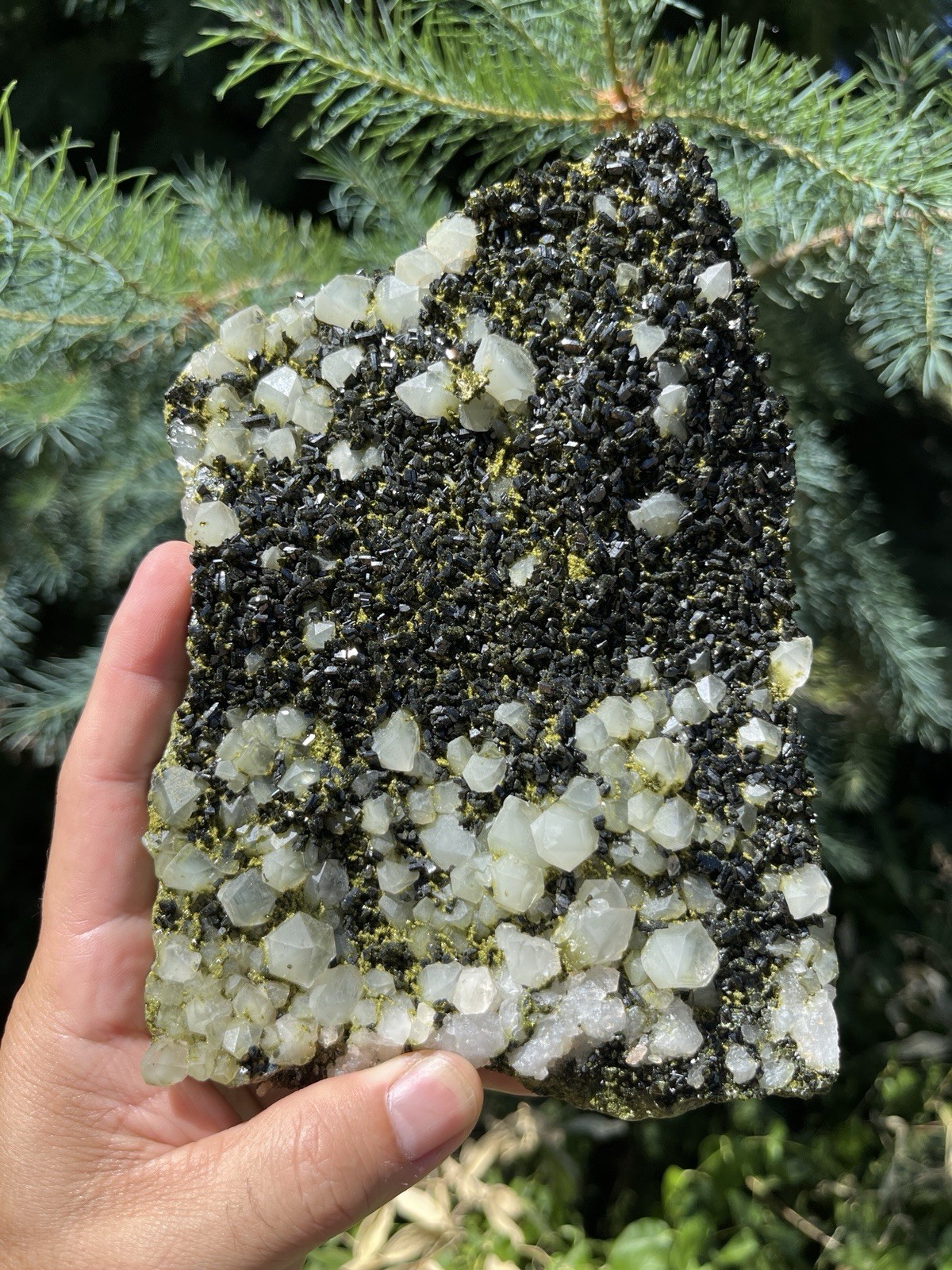Epidote Quartz Crystal Cluster on Natural Green Matrix *Hakkâri, Turkey