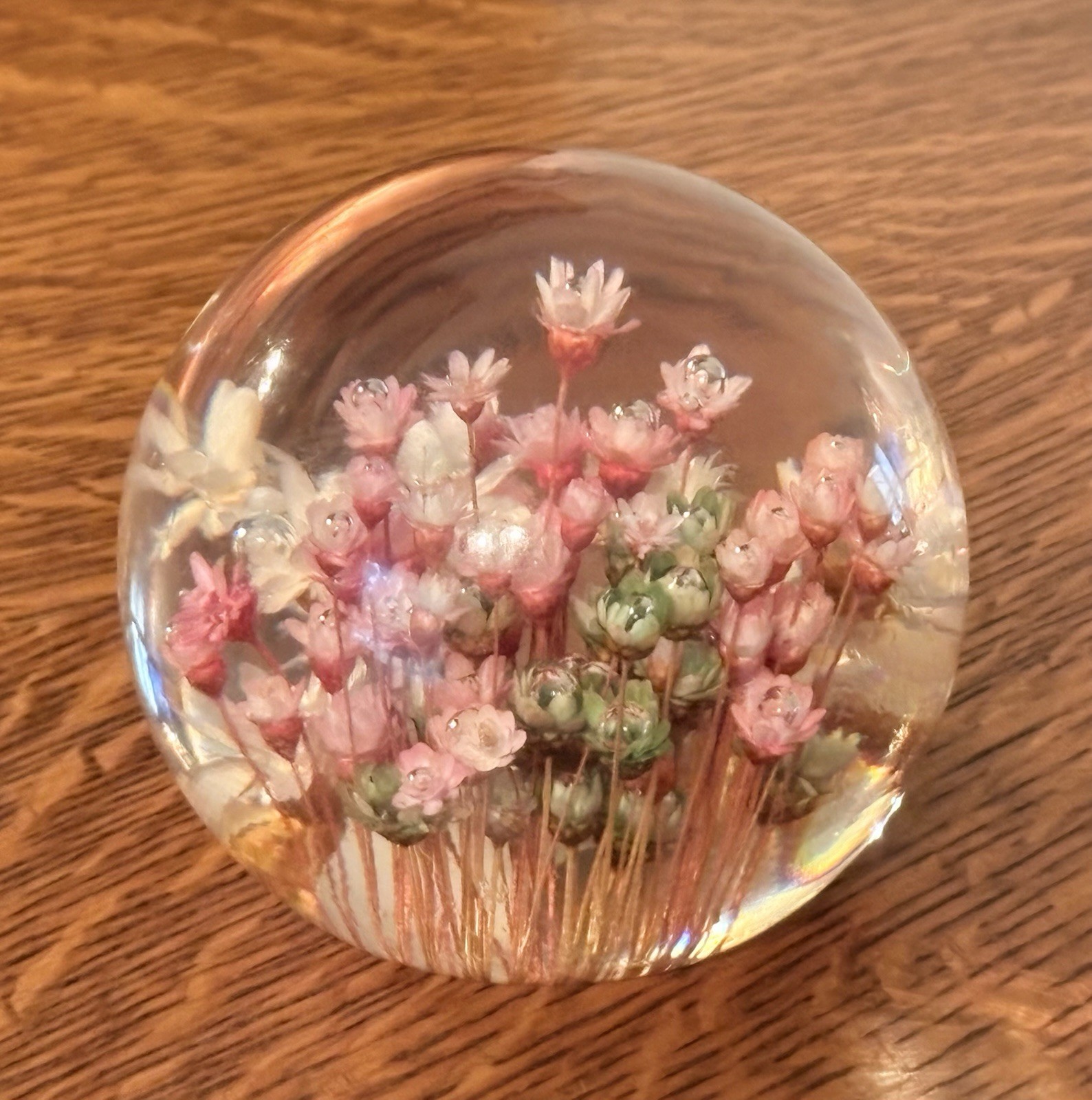 Vintage Wildflowers Paperweight Daisyglas Co Handmade Decorative Acrylic 4