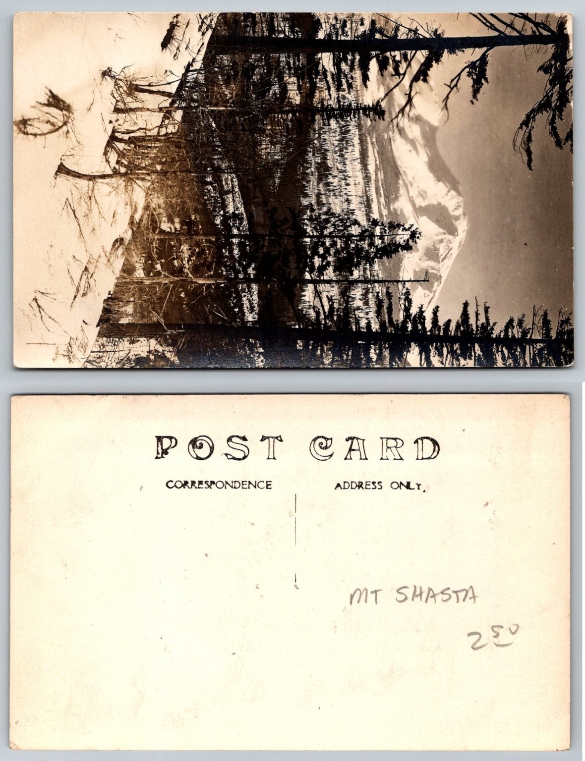 Vintage RPPC Mt Shasta Mountain Lake Trees Real Photo Postcard Early 1900s