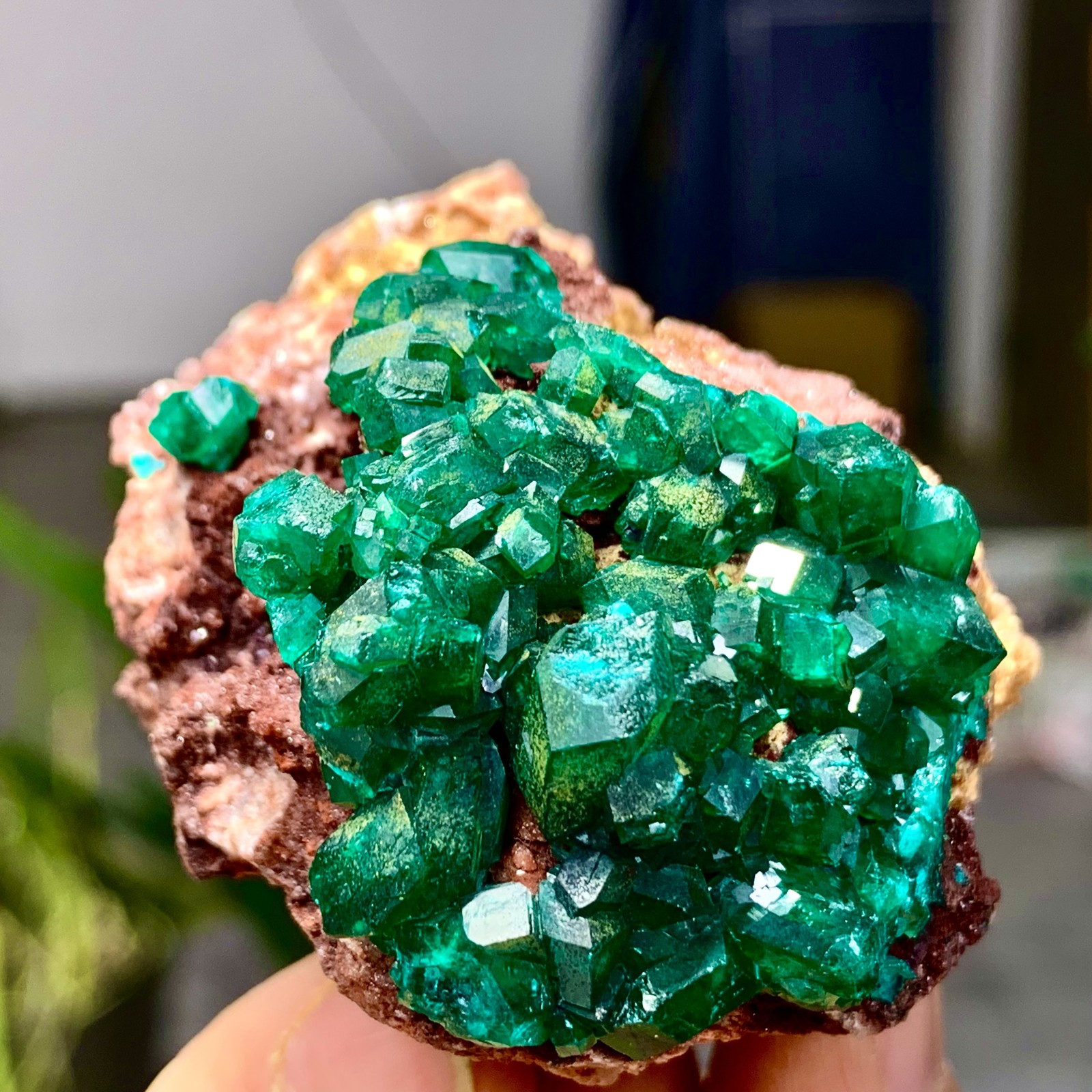 83G Natural green dioptase emerandine gemstone cluster mineral specimen Crystal