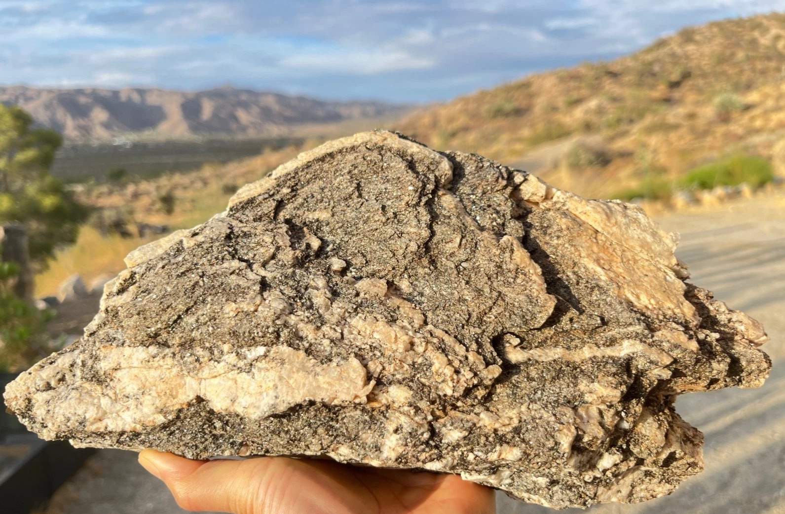 8.13 lb Desert Rock Morongo Valley California - Massive