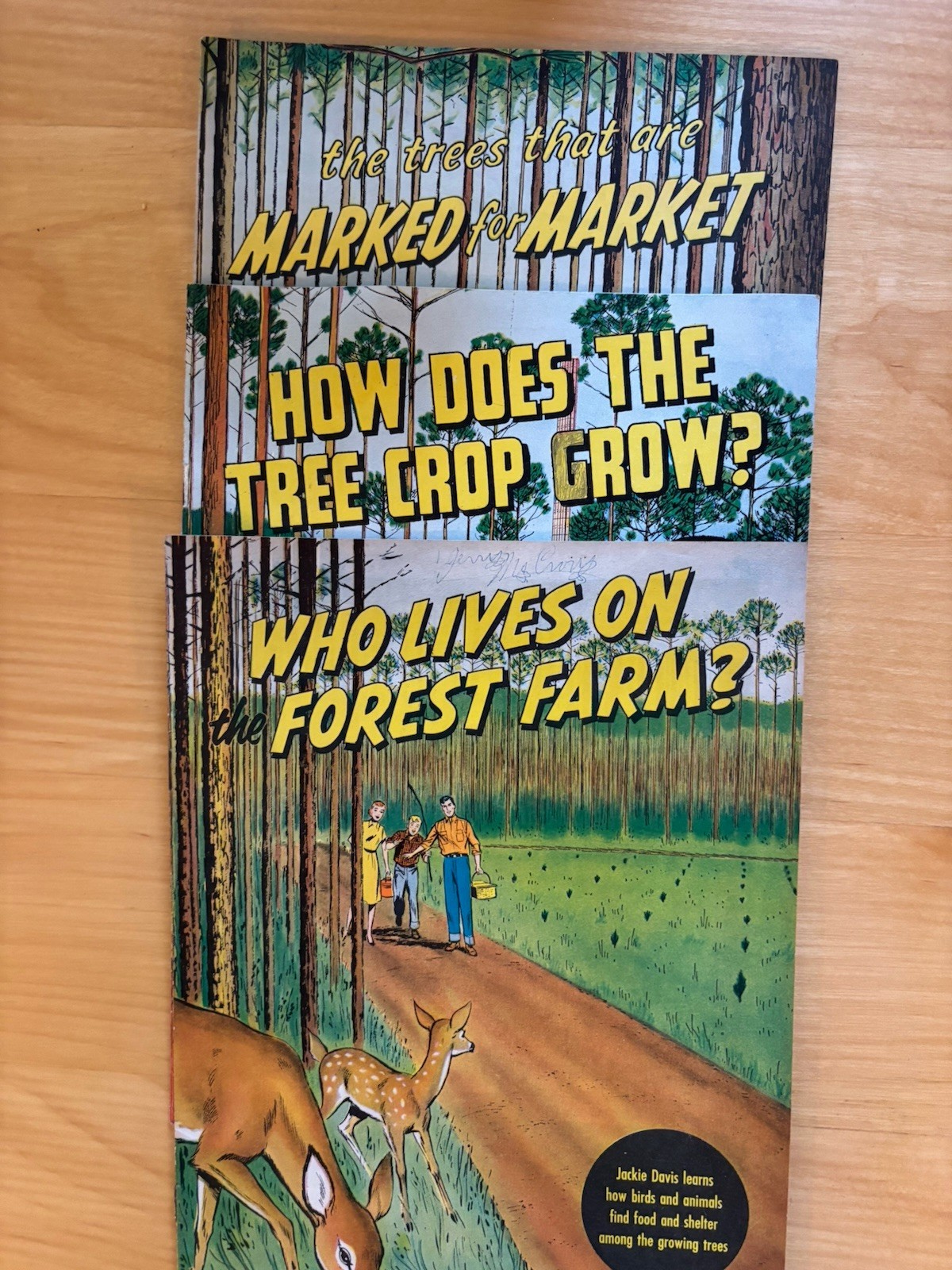 Jackie Davis, Junior Forest Fire Fighting Warden By International Paper 3 Books Jackie Davis, Junior Forest Fire Fighting Warden By International Paper 3 Books