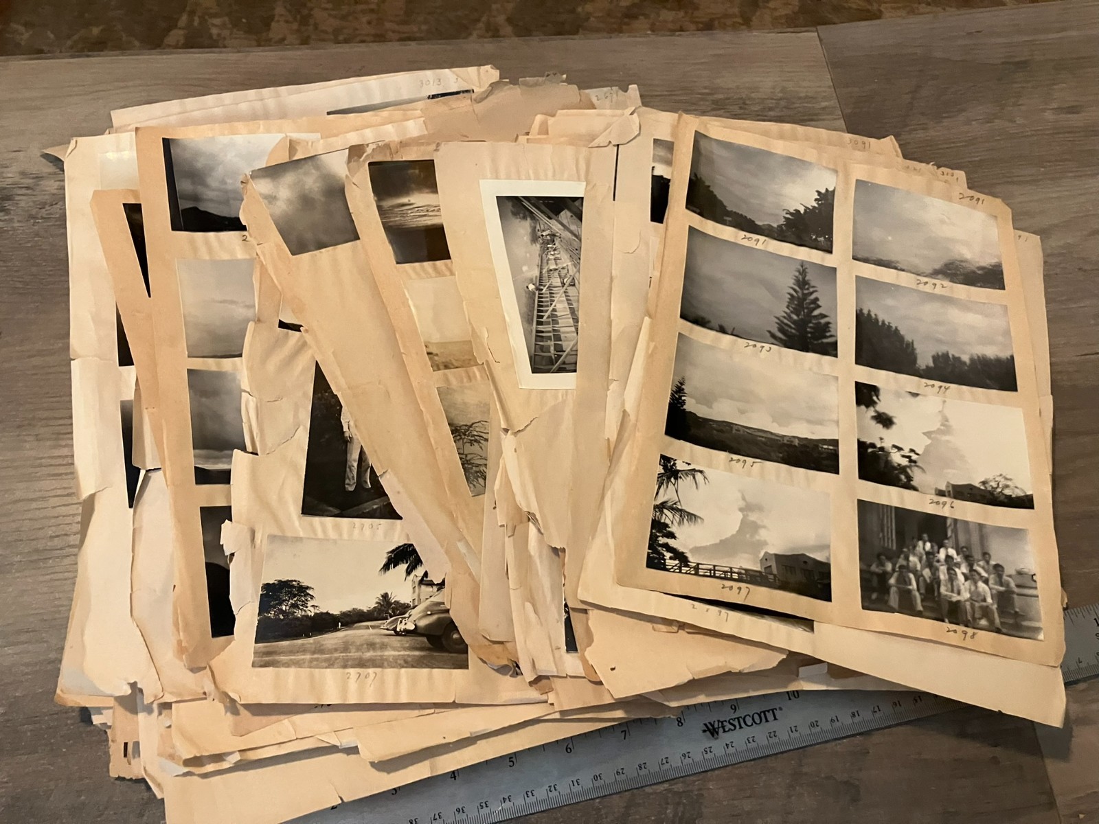 VTG Hawaii Hawaiian Island Photo Album Pages Lot WWII Era Plantations Buildings