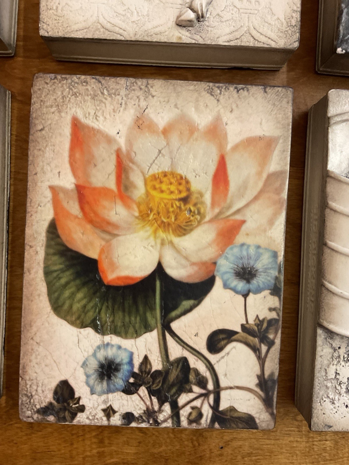 Sid Dickens Memory Blocks - Vintage, T-407 ~ Sacred Lotus