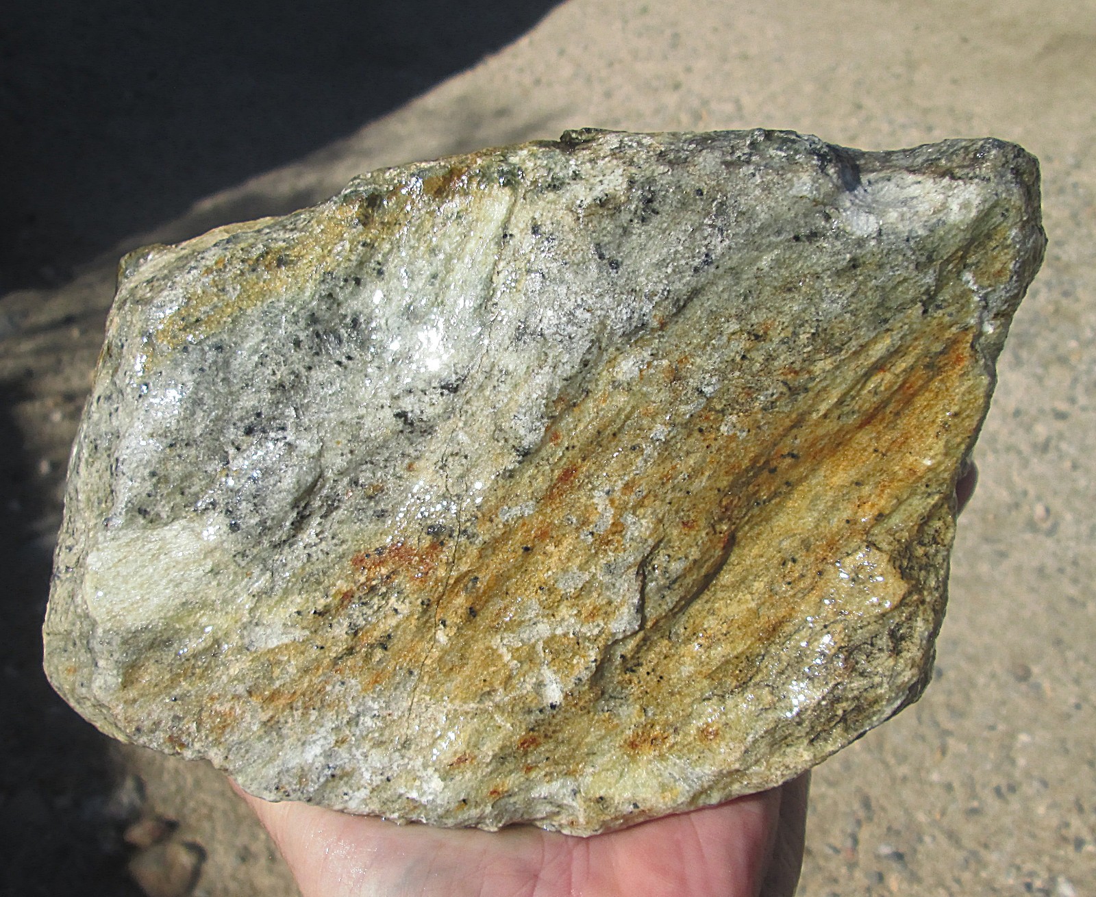 SOAPSTONE ROUGH FOR CARVING ~ 10 lbs. 3 ozs. ~ MARIPOSA, CA MATERIAL SOAPSTONE ROUGH FOR CARVING ~ 10 lbs. 3 ozs. ~ MARIPOSA, CA MATERIAL
