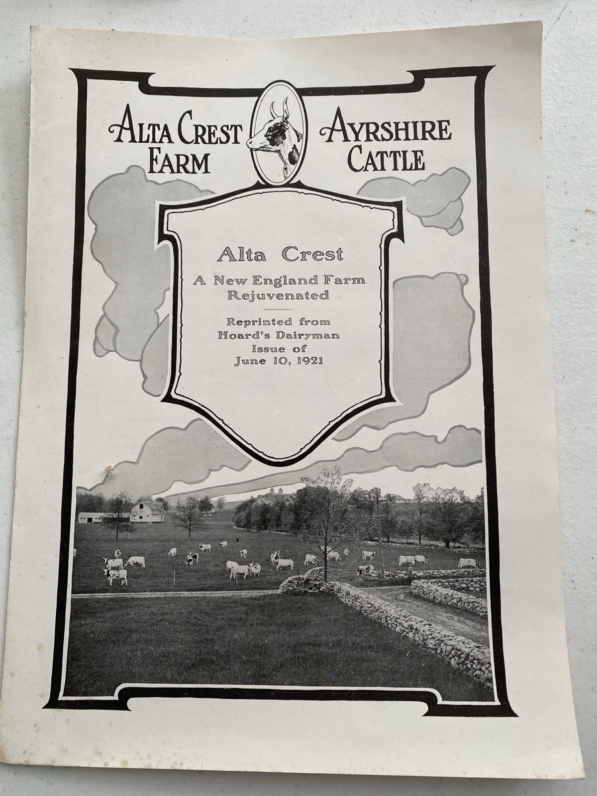 Alta Crest Farms Ayrshire Cattle-A New England Farm Rejuvenated - Reprint