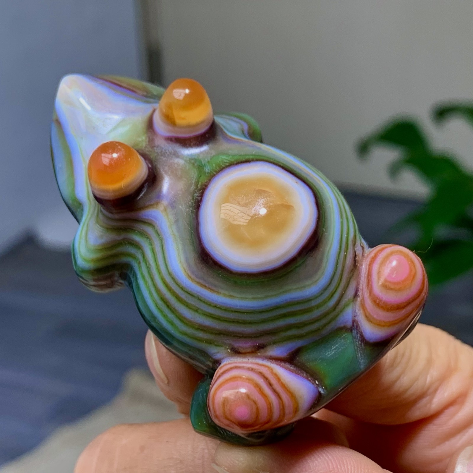 91G Rare Natural Gobi Agate Eye Agate Carving Frog/Crystal PalmStone Madagascar