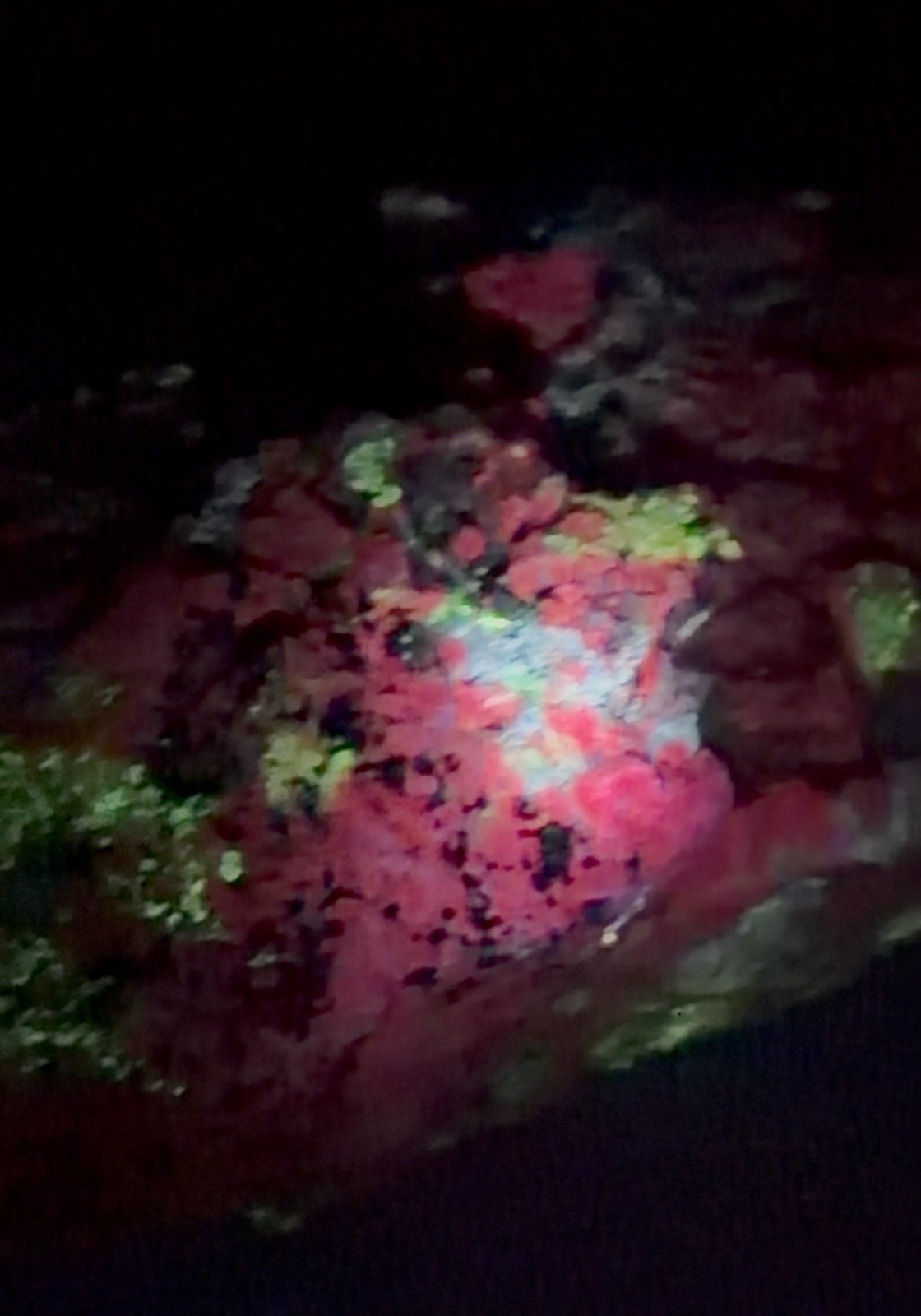 HUGE 1300+ GRAMS FLUORESCENT & PHOSPHORESCENT Wollastonite, Albite and unknown 