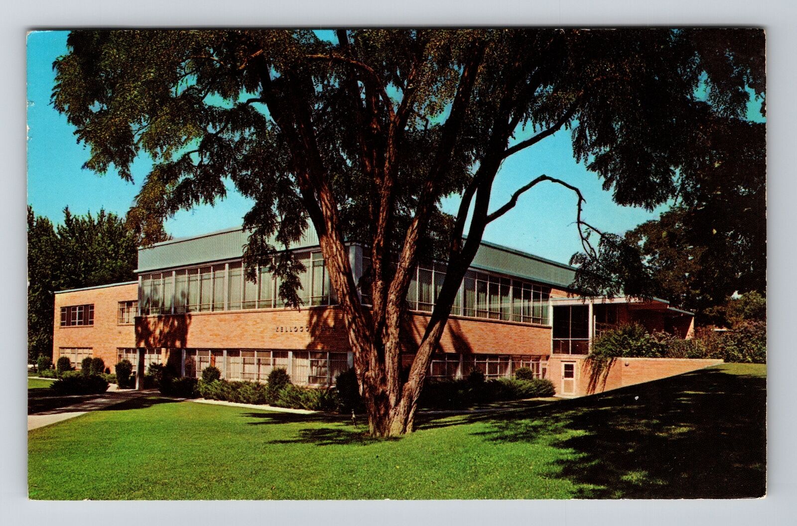 College Place WA-Washington, Walla Walla College, Vintage Postcard