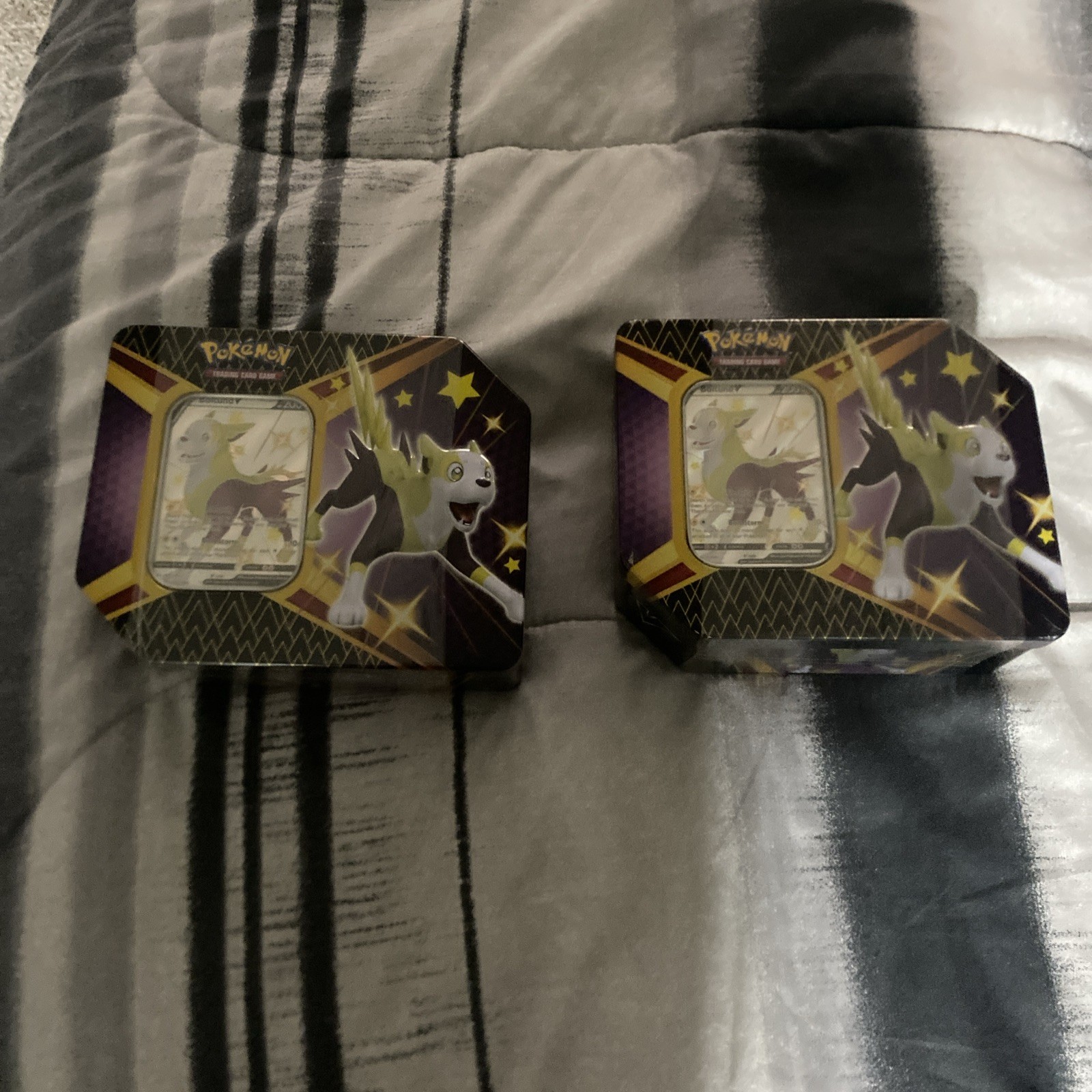 Pokémon Trading Card Tin  Boltund Box