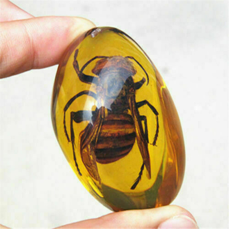 Amber Bee Beautiful Amber Hornet Fossil Insects Manual Polishing Pendant