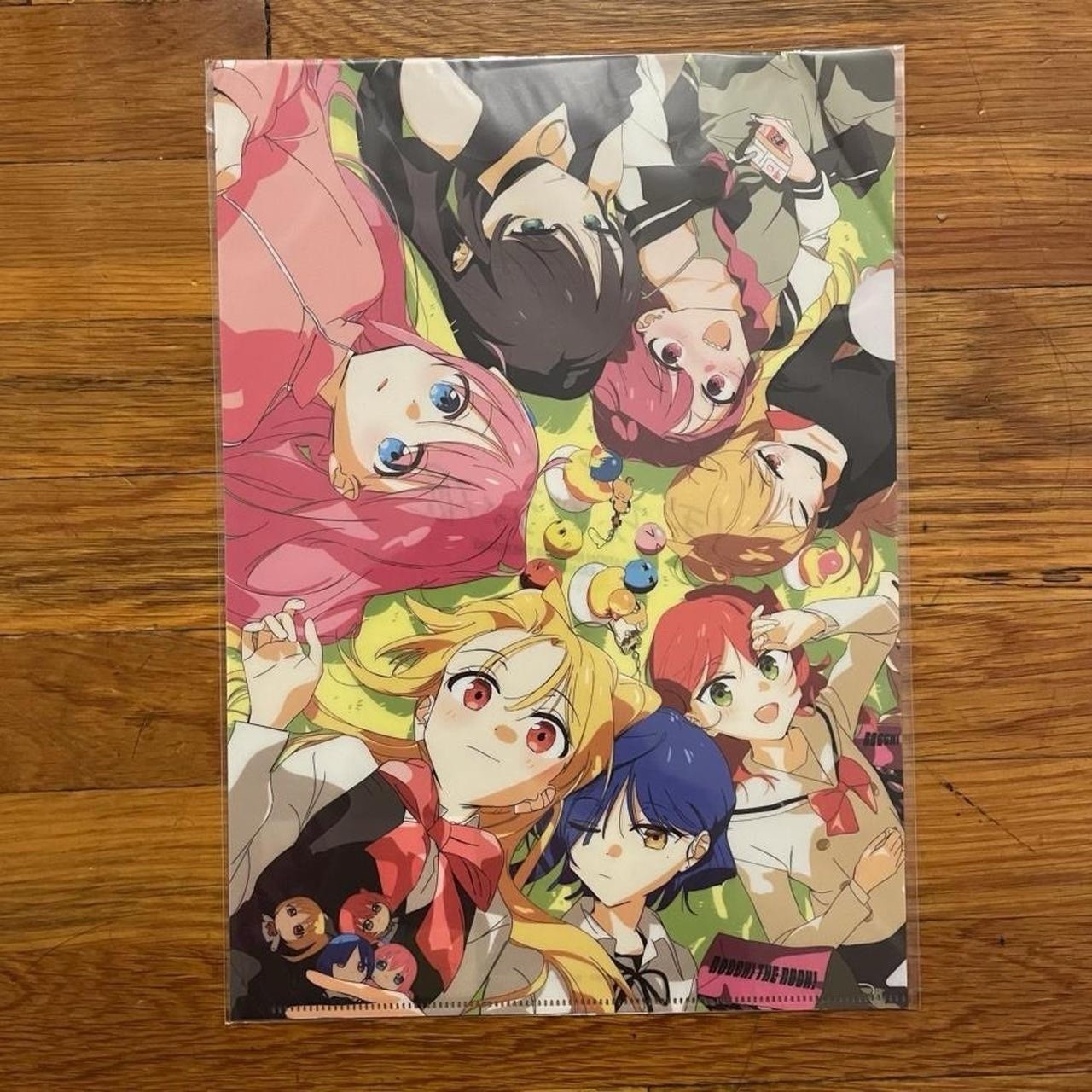 Rare Bocchi the Rock animation exhibition anime clear file A4 size