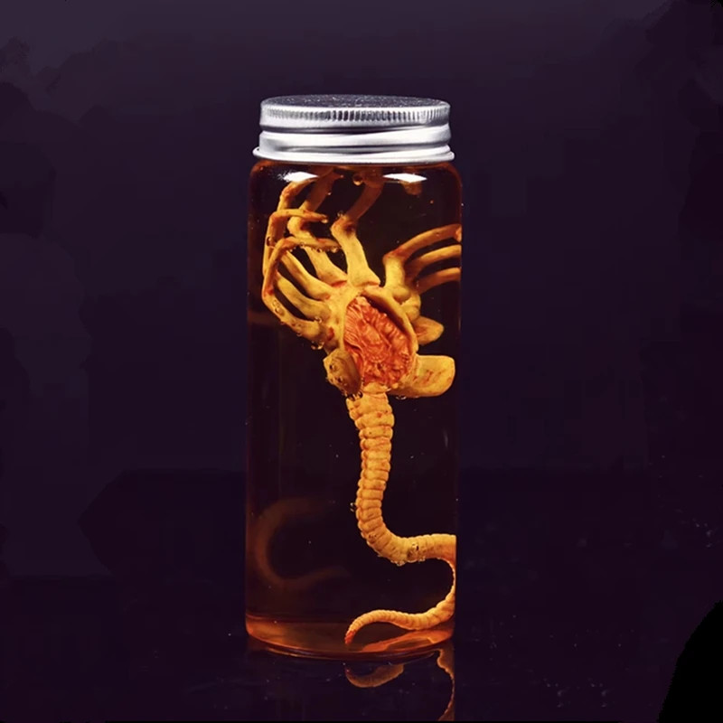 Alien Xenomorph Facehugger Embryo Specimen Jar Movie Prop Replica