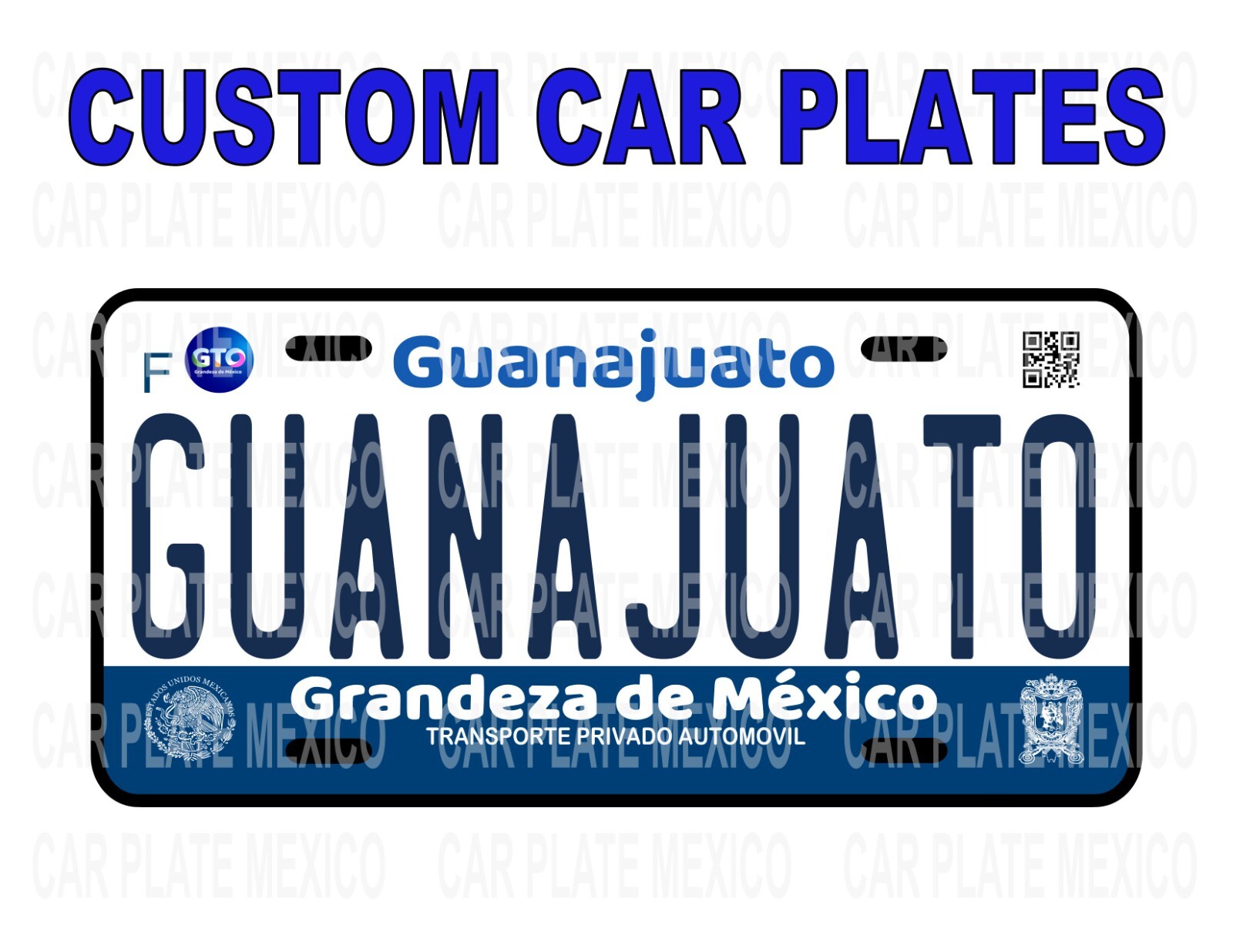 CUSTOM CAR PLATE  GUANAJUATO/ Placa Carro Mexico States/ Placa Guanajuato