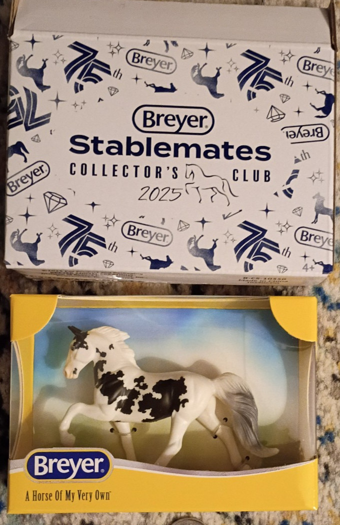 BREYER ALANA STABLEMATE CLUB B&W PINTO TENNESSEE WALKING MODEL HORSE MARE NEW 1