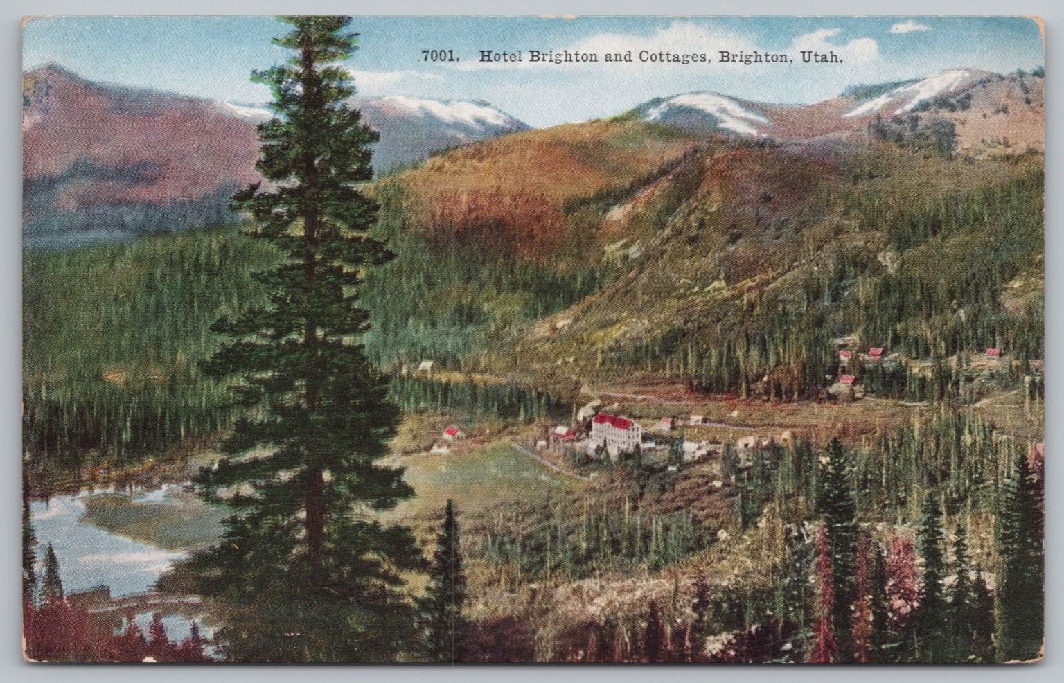Hotel Brighton & Cottages Utah Vintage Postcard Mountain Landscape Pine Tree UNP Hotel Brighton & Cottages Utah Vintage Postcard Mountain Landscape Pine Tree UNP