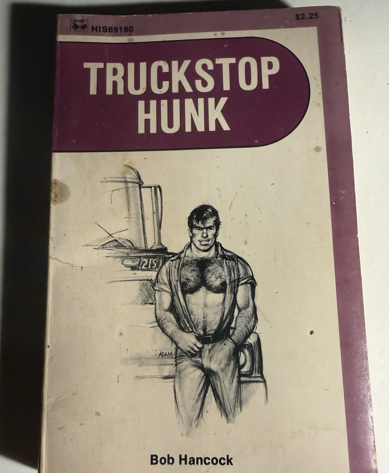 TRUCKSTOP HUNK- 1976 BOB HANCOCK - SURREY HIS69 VINTAGE PULP NOVEL GAY INTEREST