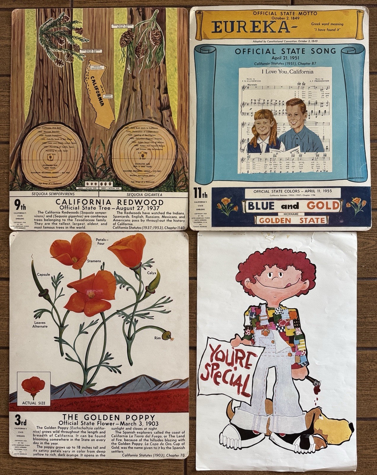 Vtg 1970s California State Symbols Stand Up Display Boards Argus Poster School