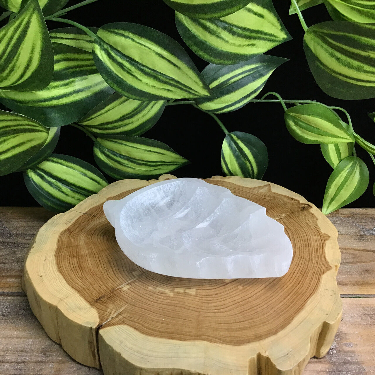 MeldedMind One (1) Satin Spar Selenite Leaf Shape Bowl 5in White Crystal 085