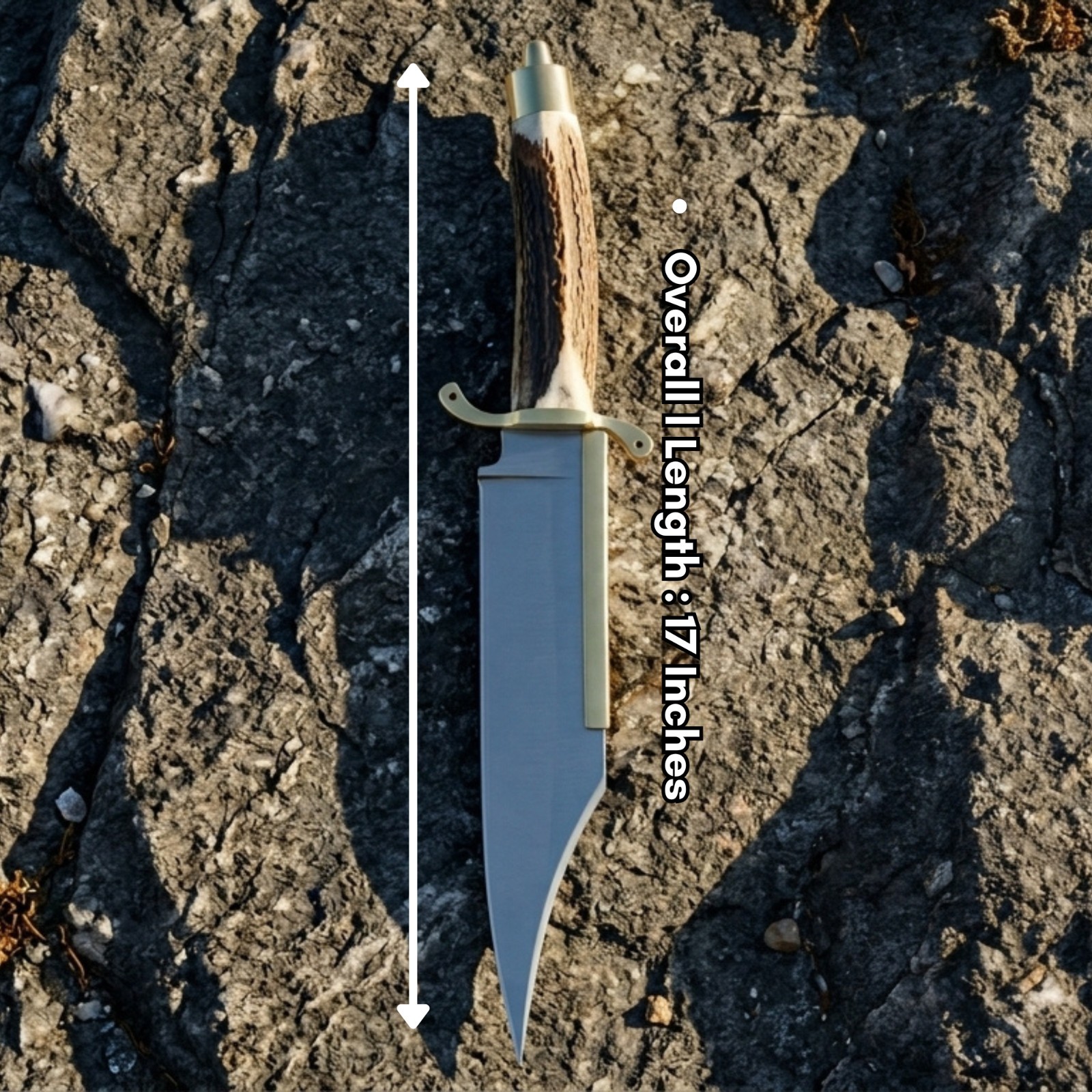 Premium Hand Forged J2 Steel Hunting Rare Bowie Knife Stag Antler Handle Knife