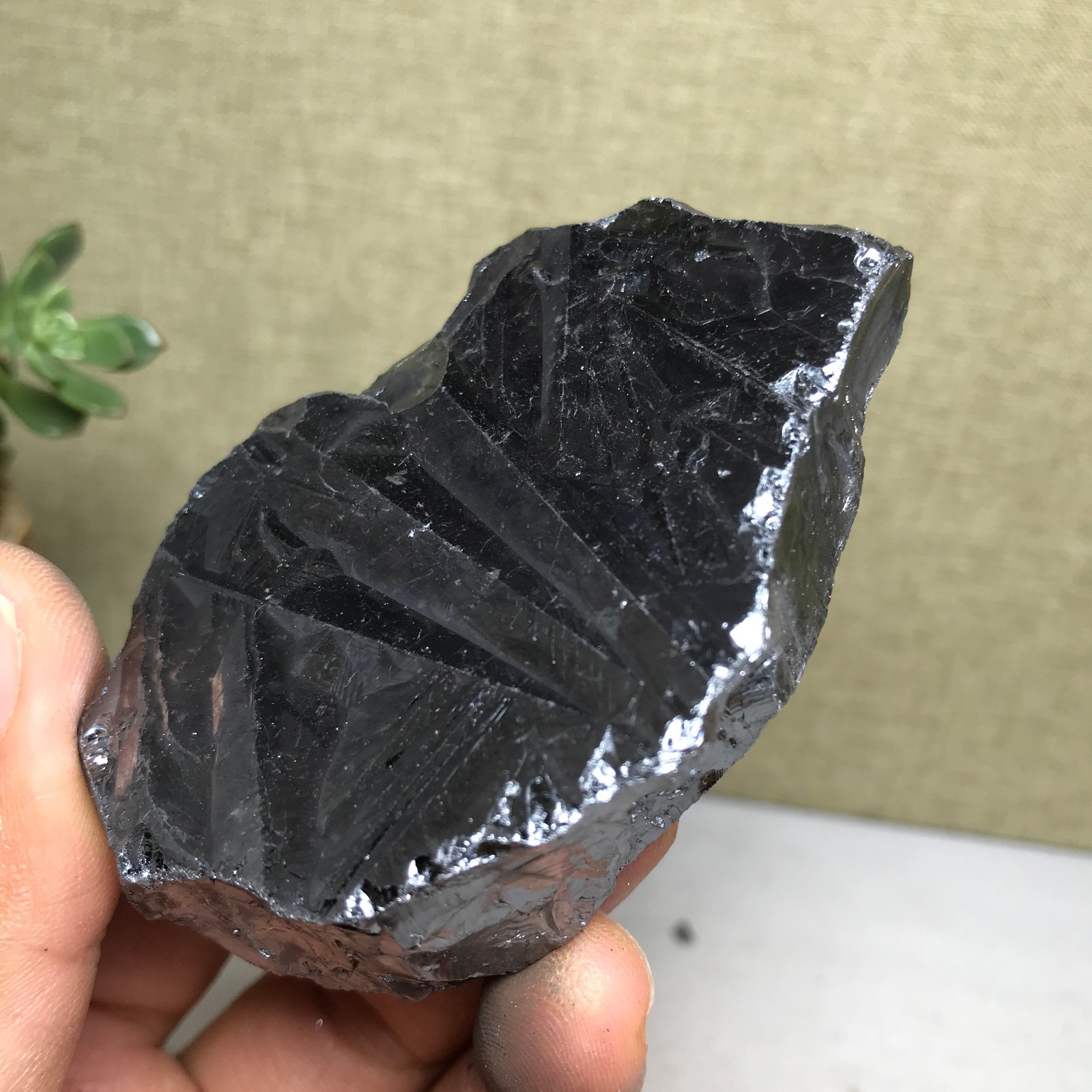 Elite Terahertz Raw Terahertz EMF Protection Noble shungite stone 106g A5953